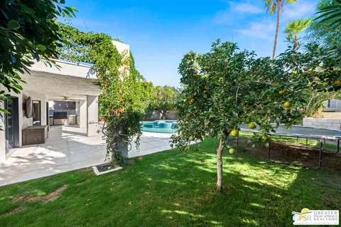a backyard of a house with table and chairs plants and large tree