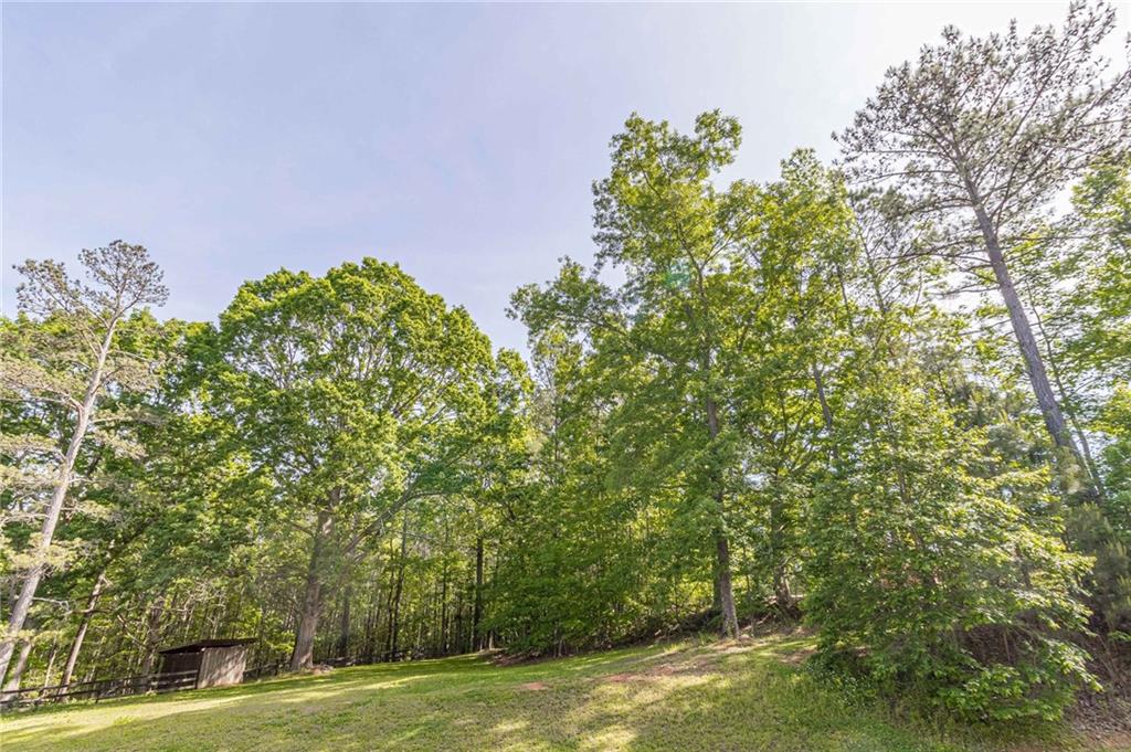 676 High Shoals Road Dallas, GA 30132 - Photo 14 of 18