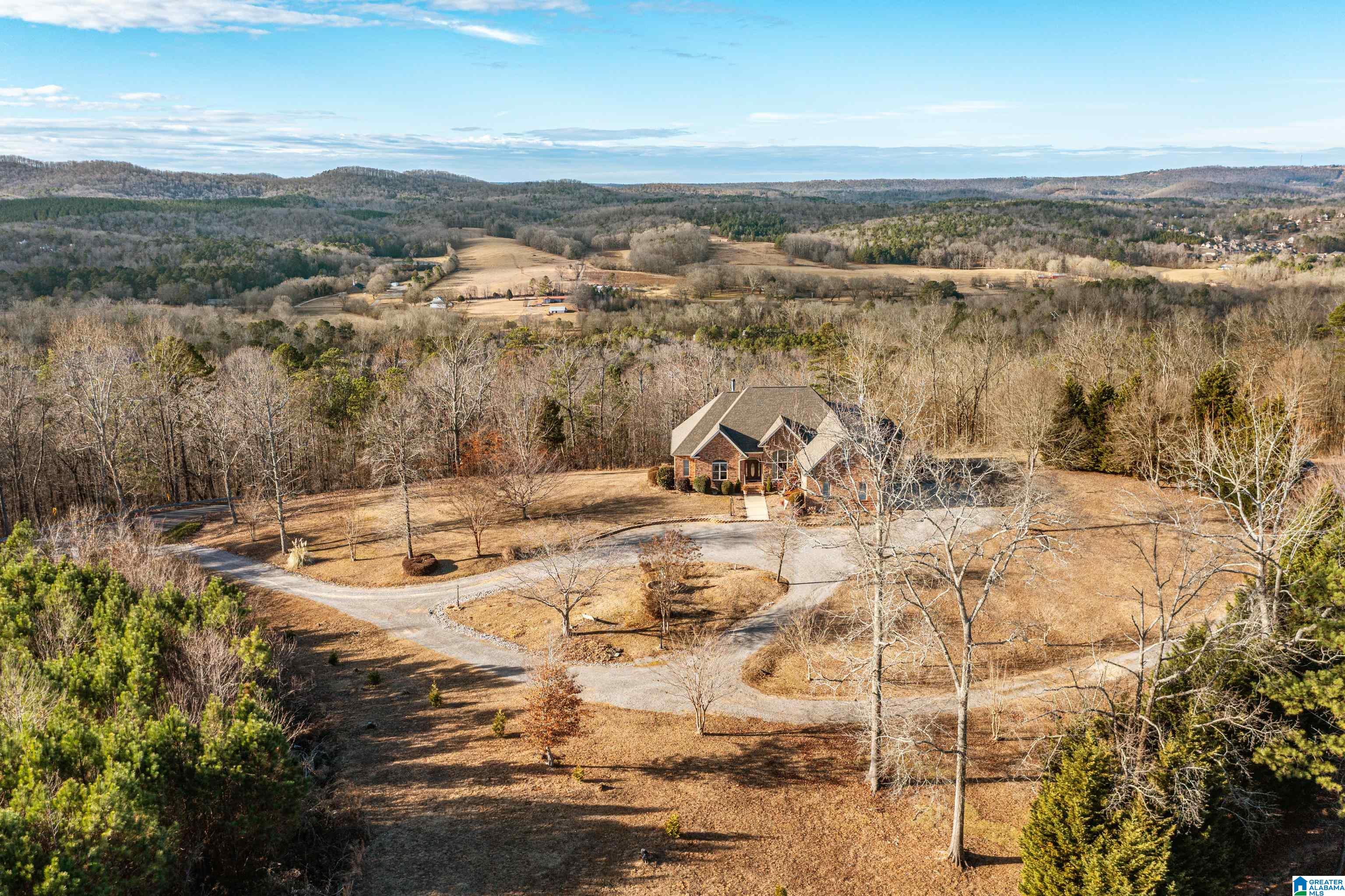 1049 Mountain View Road Springville, AL 35146 - Photo 2 of 50 Gallery Image 2