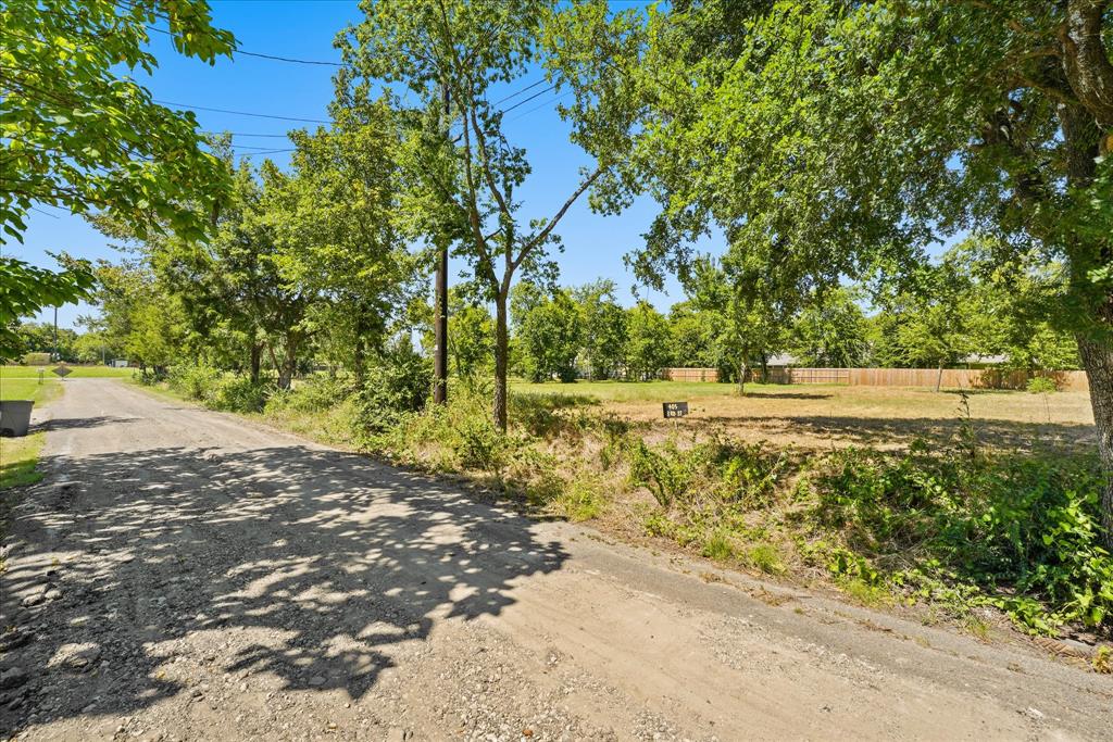 405 3rd Street Commerce, TX 75428 - Photo 6 of 26 Gravel road with mature trees and a level lot