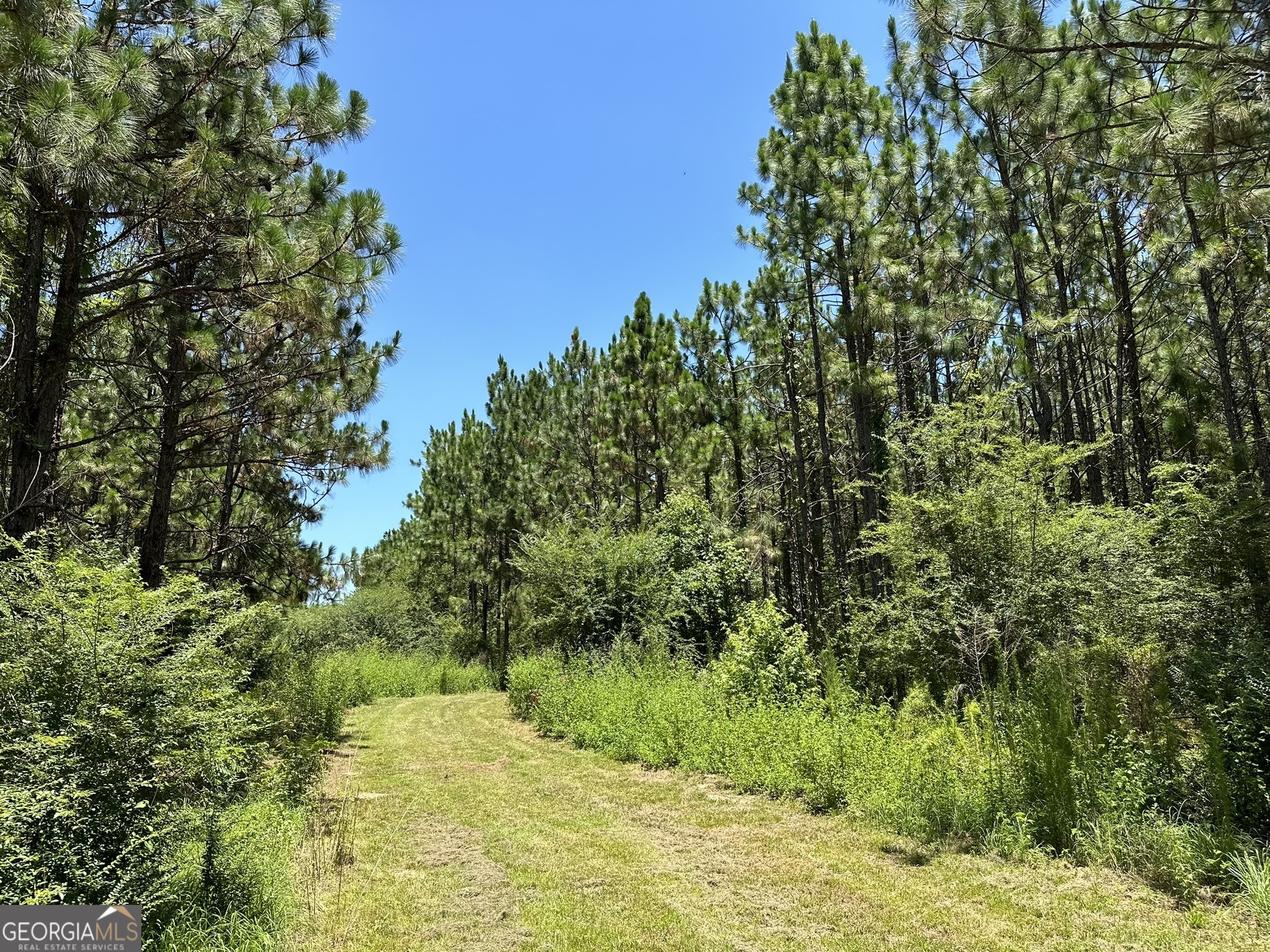 7 Case Road Slocomb, AL 36375 - Photo 1 of 1