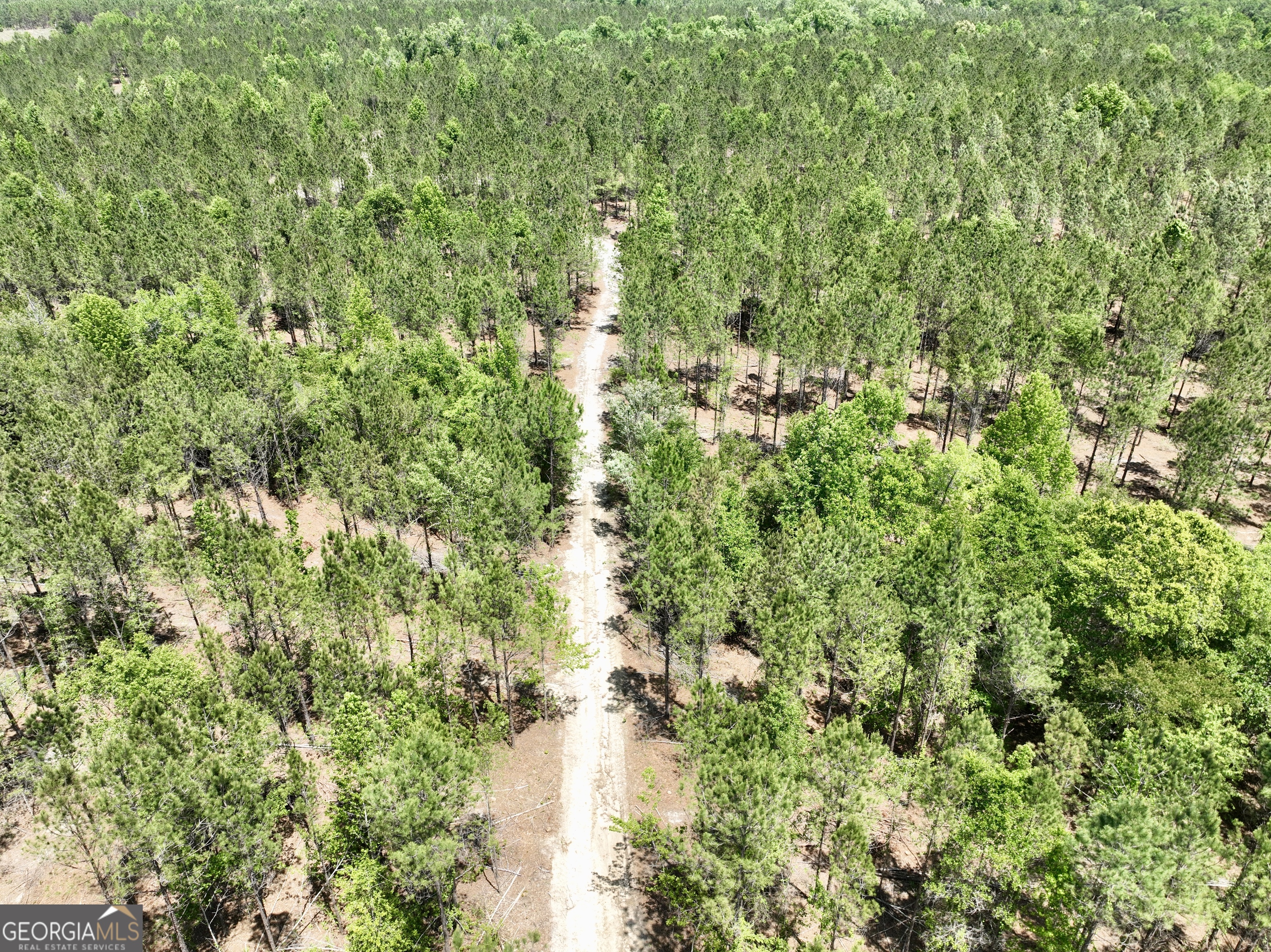 0 Jerry Farmer Road Eastman, GA 31023 - Photo 12 of 40