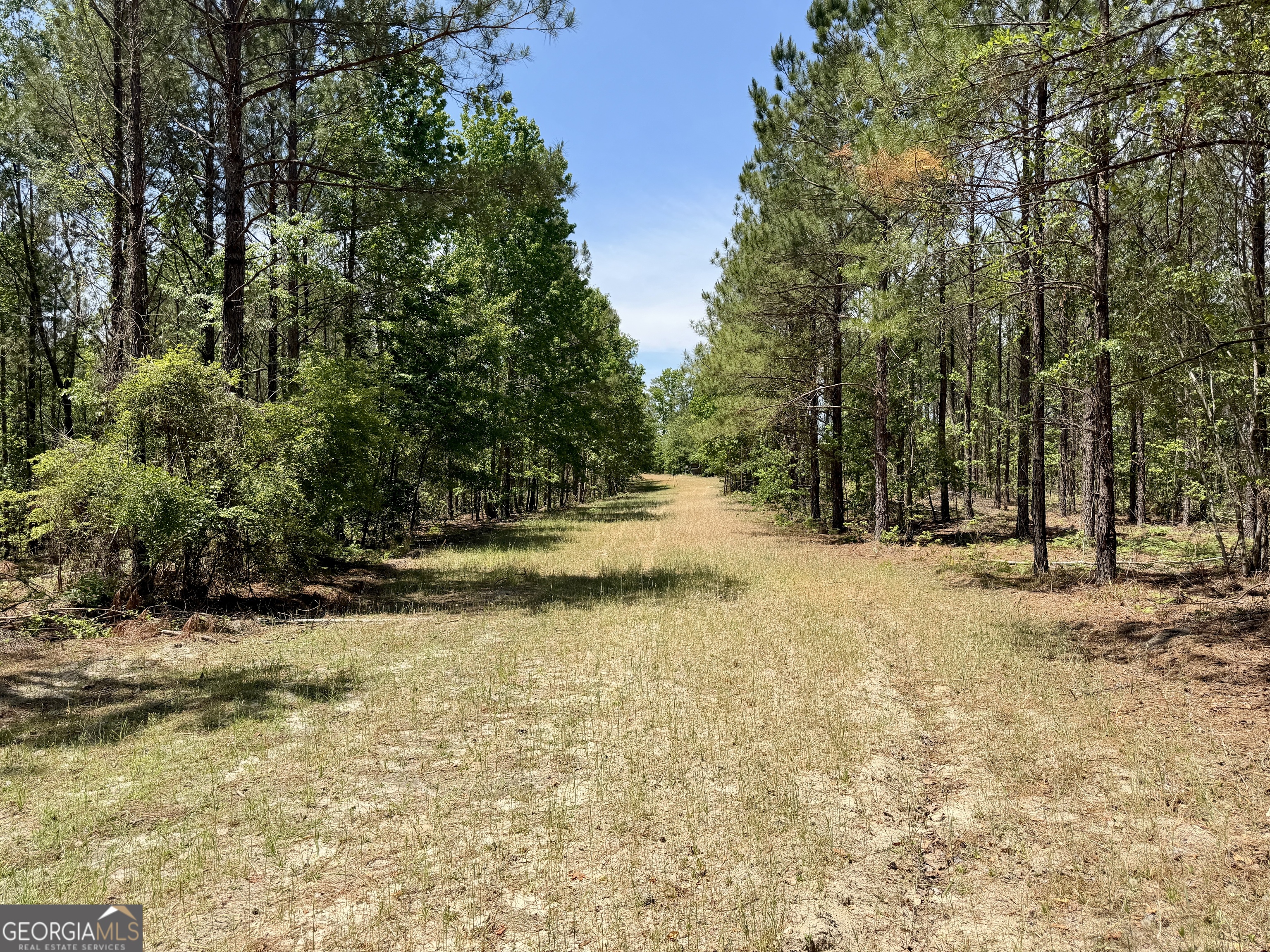 0 Jerry Farmer Road Eastman, GA 31023 - Photo 13 of 40