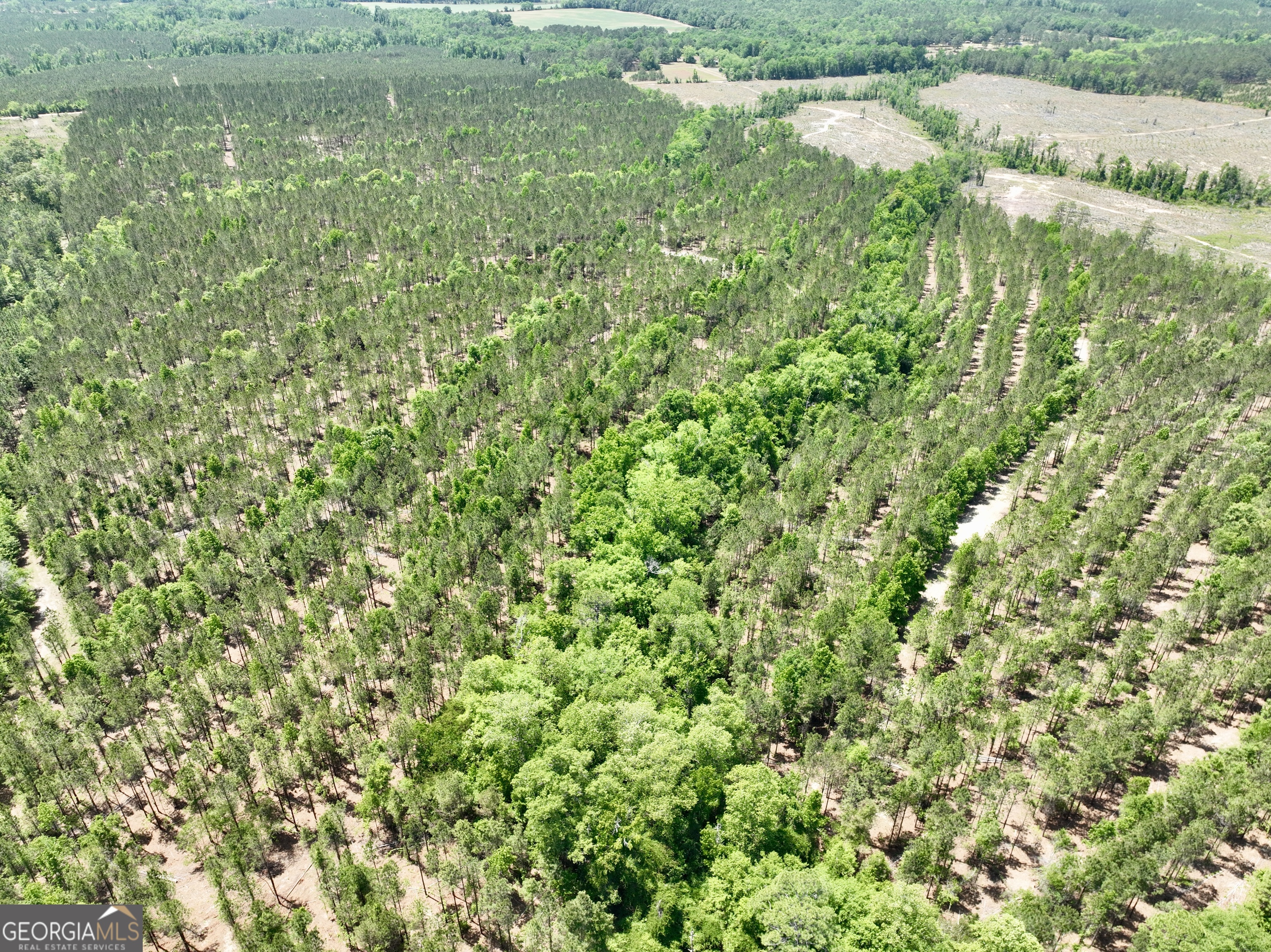0 Jerry Farmer Road Eastman, GA 31023 - Photo 14 of 40