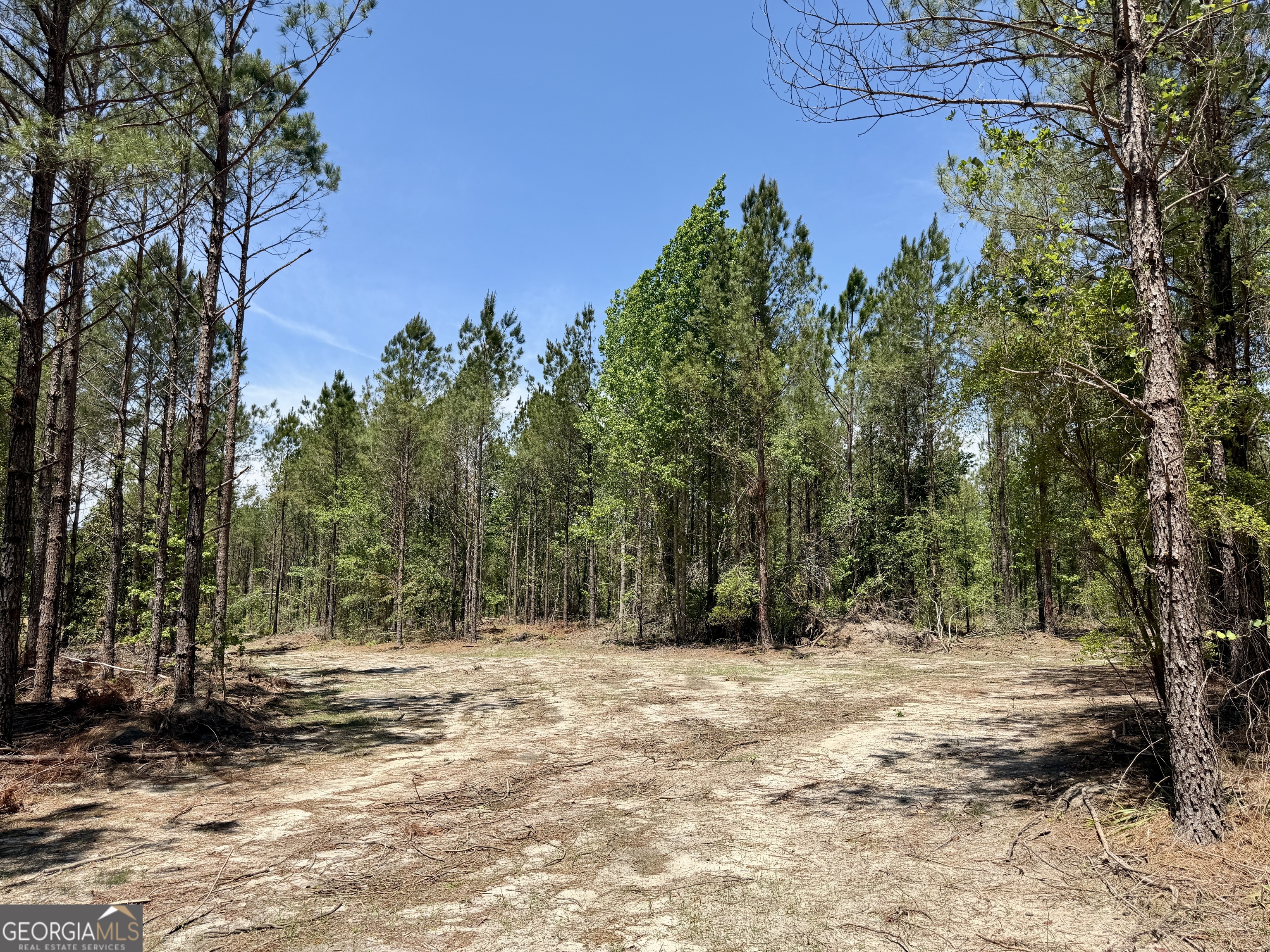 0 Jerry Farmer Road Eastman, GA 31023 - Photo 15 of 40