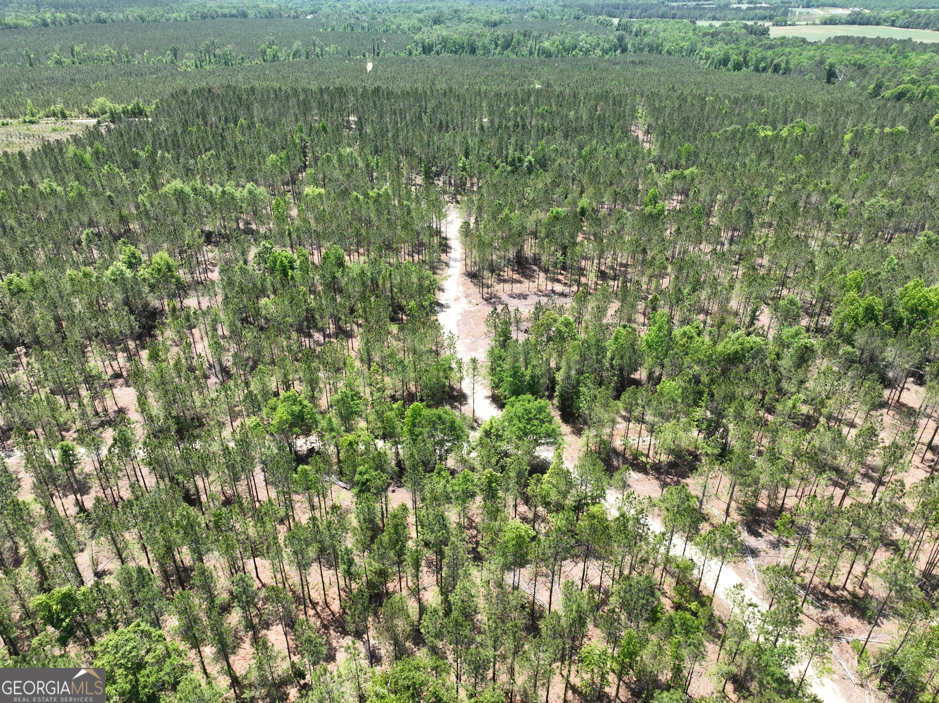 0 Jerry Farmer Road Eastman, GA 31023 - Photo 16 of 40