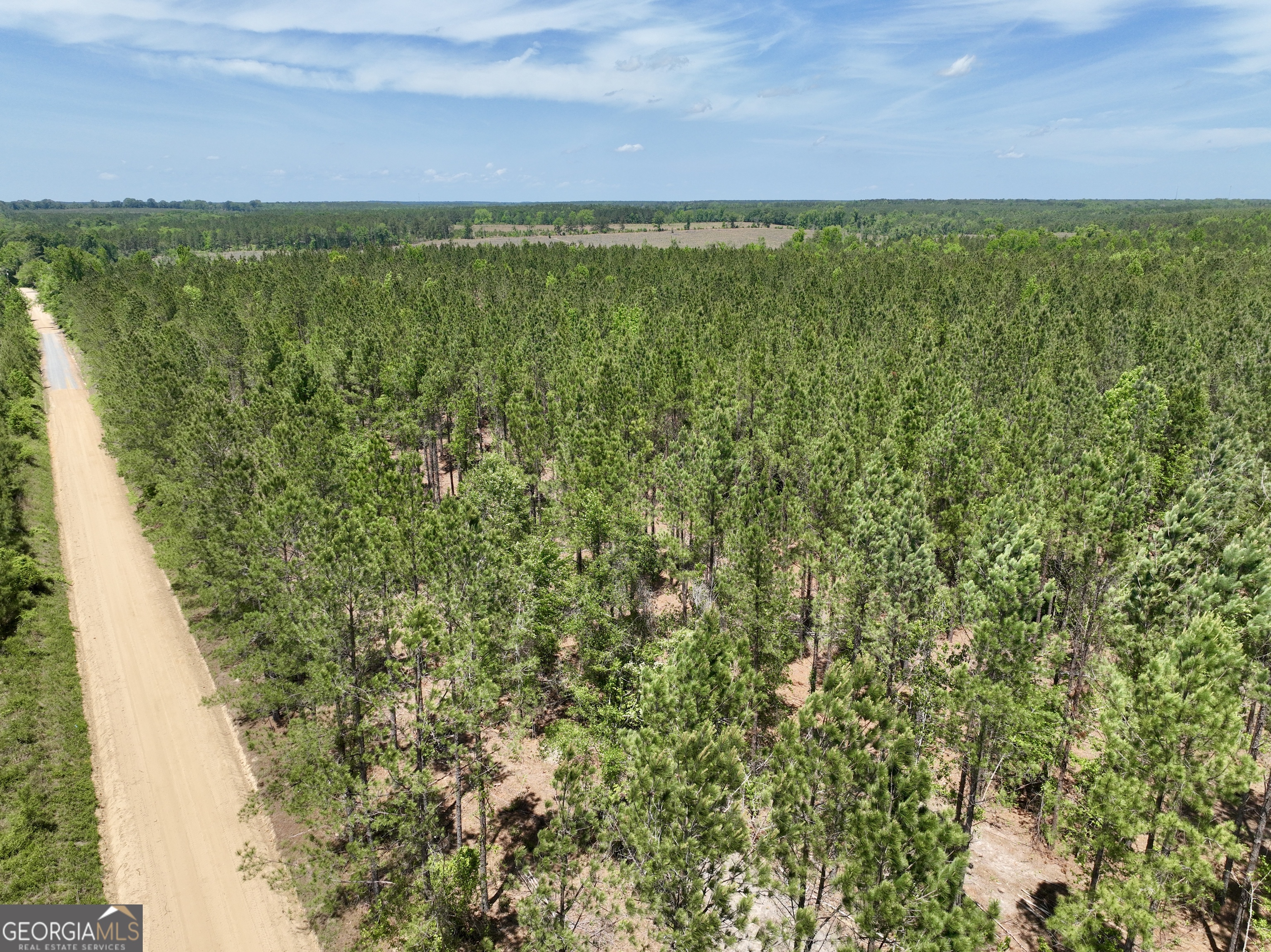 0 Jerry Farmer Road Eastman, GA 31023 - Photo 17 of 40