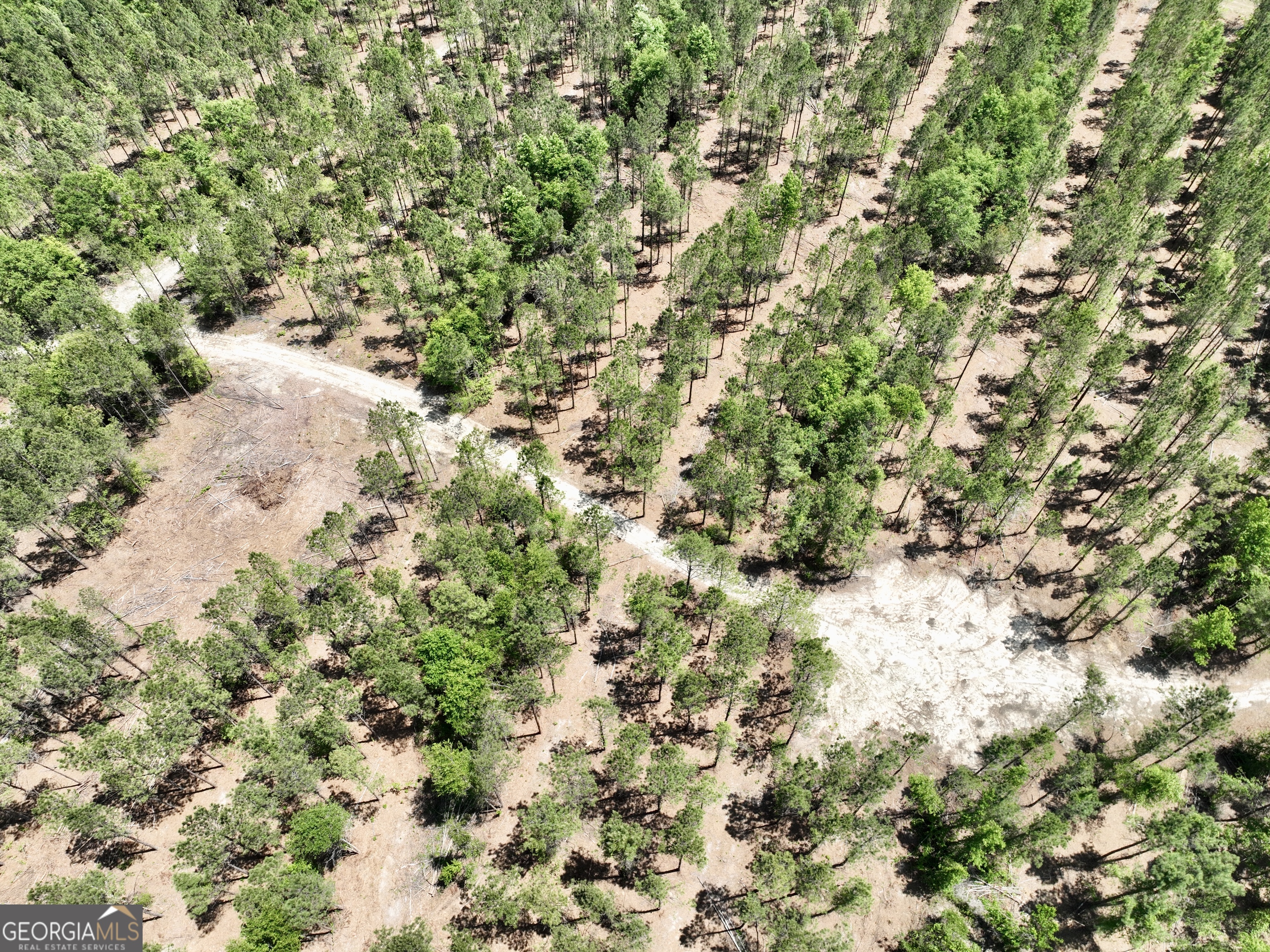 0 Jerry Farmer Road Eastman, GA 31023 - Photo 20 of 40