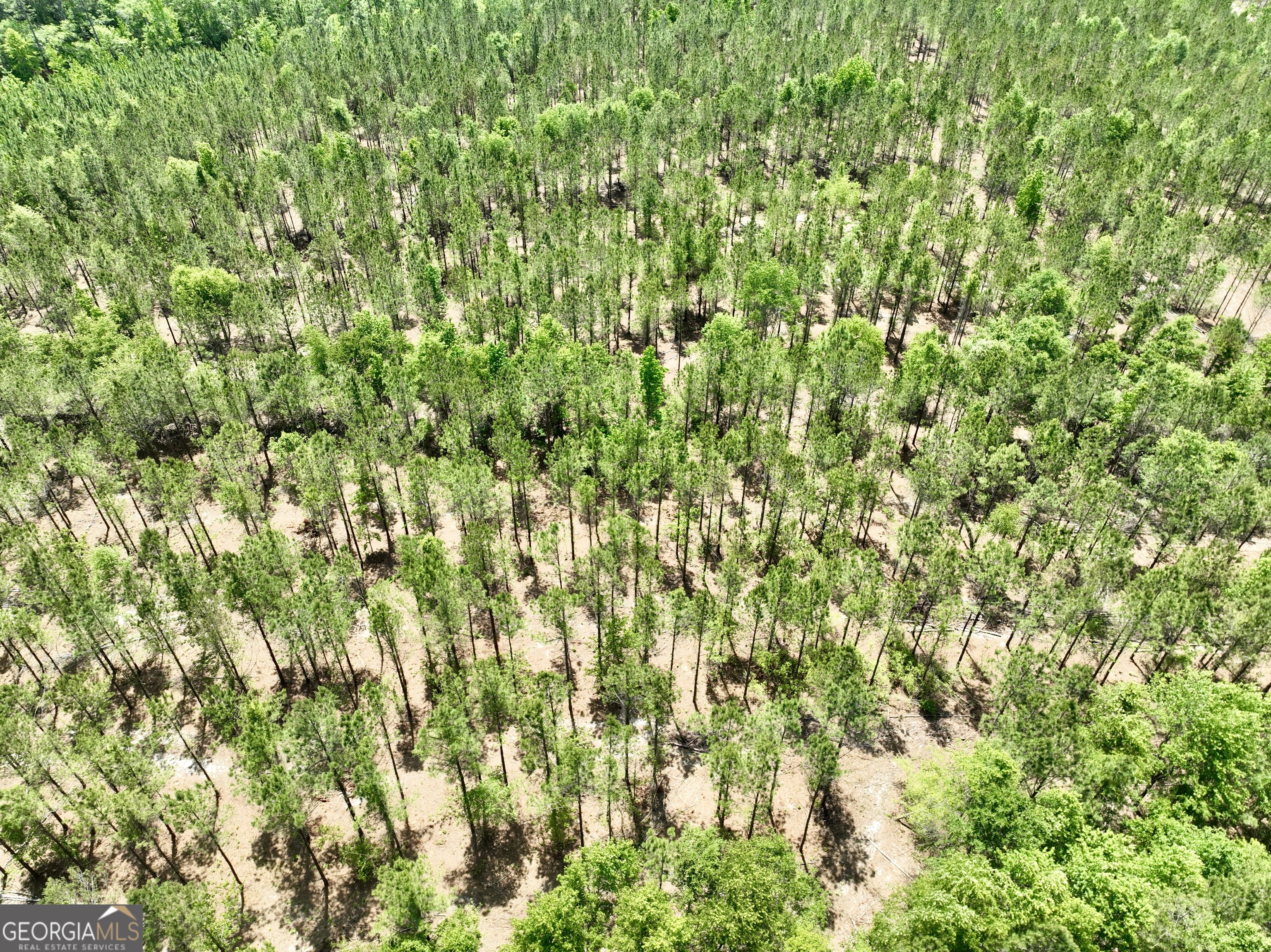 0 Jerry Farmer Road Eastman, GA 31023 - Photo 2 of 40