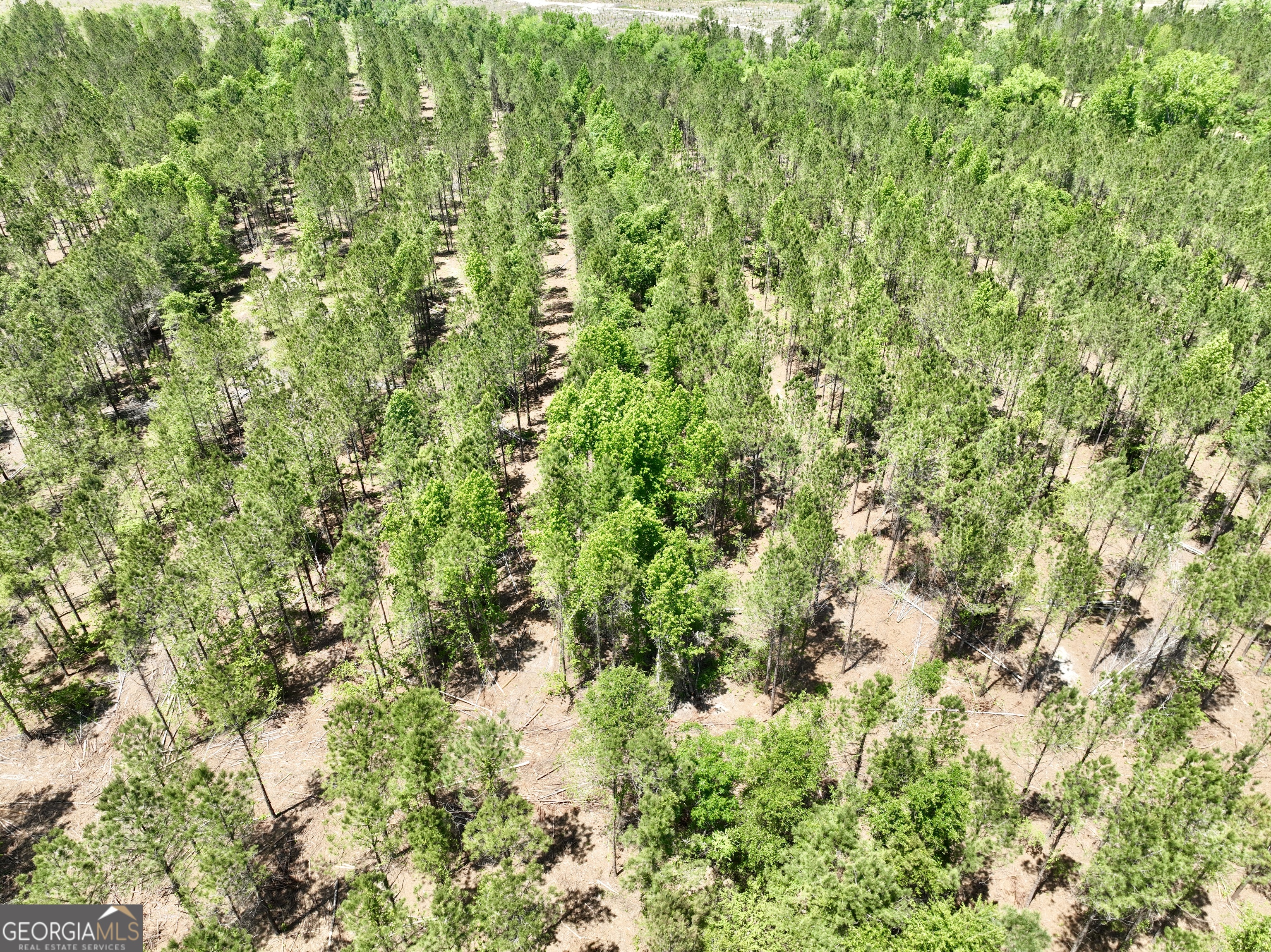 0 Jerry Farmer Road Eastman, GA 31023 - Photo 21 of 40