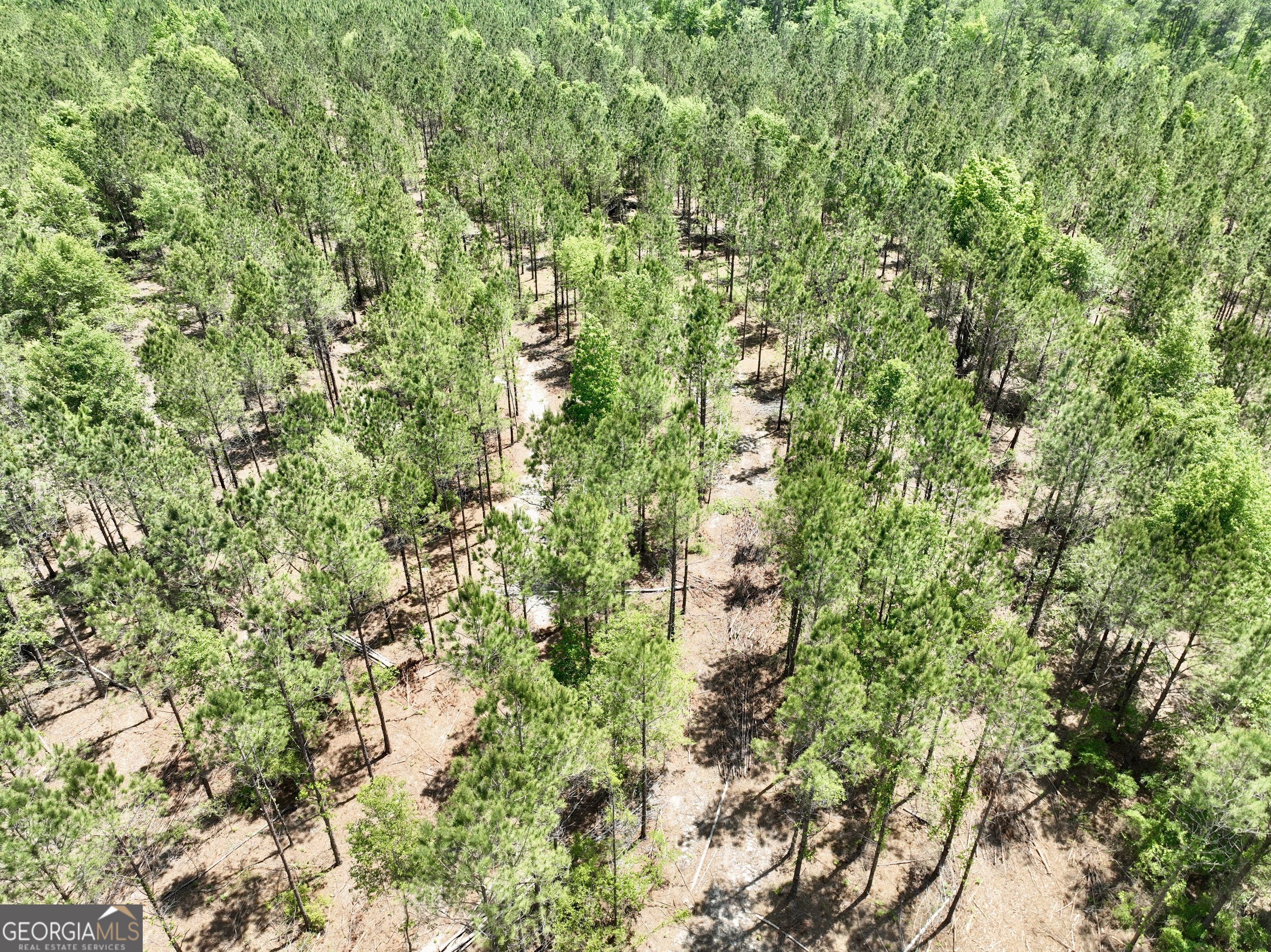 0 Jerry Farmer Road Eastman, GA 31023 - Photo 22 of 40
