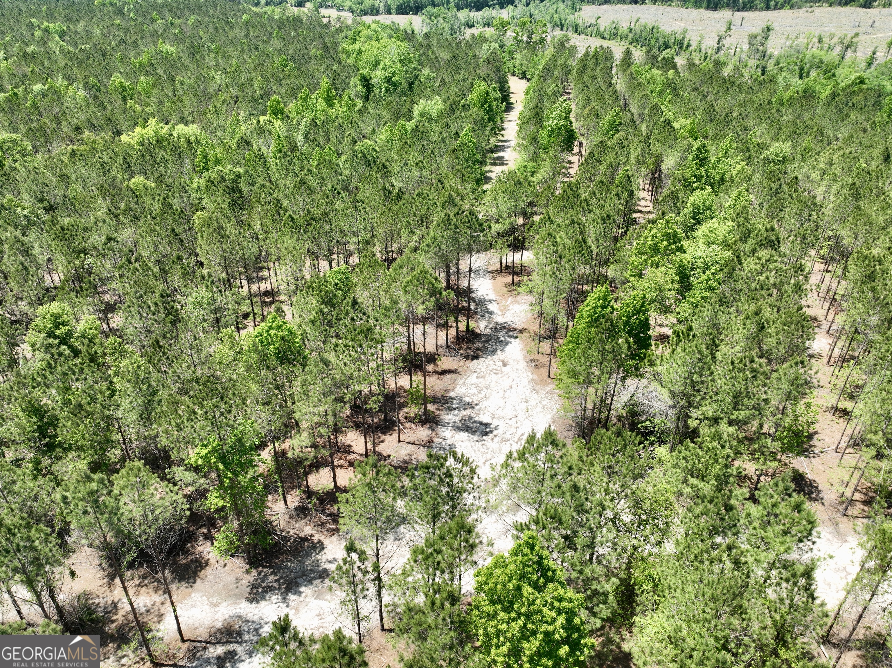 0 Jerry Farmer Road Eastman, GA 31023 - Photo 23 of 40