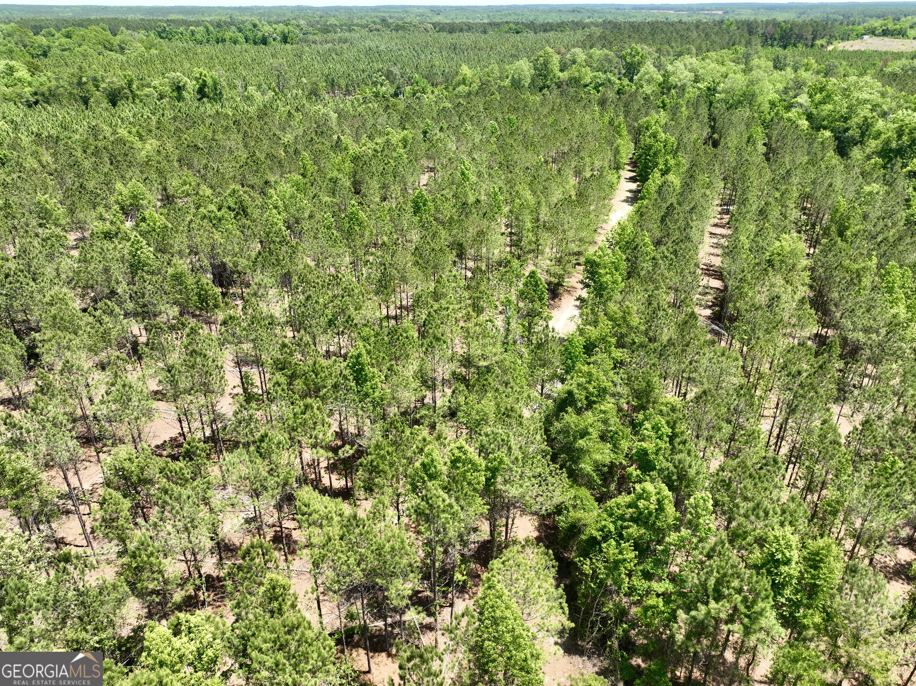 0 Jerry Farmer Road Eastman, GA 31023 - Photo 25 of 40