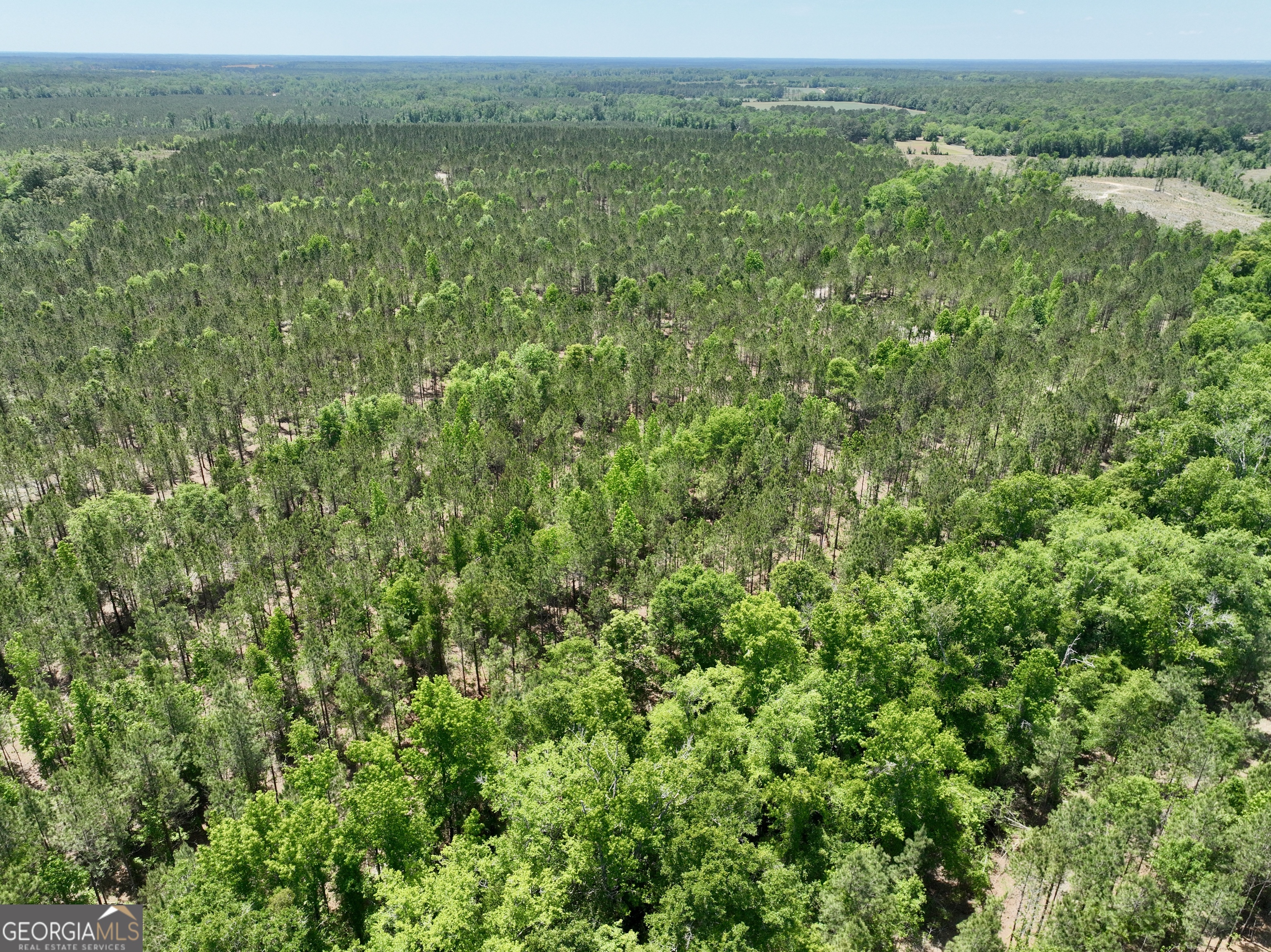 0 Jerry Farmer Road Eastman, GA 31023 - Photo 26 of 40