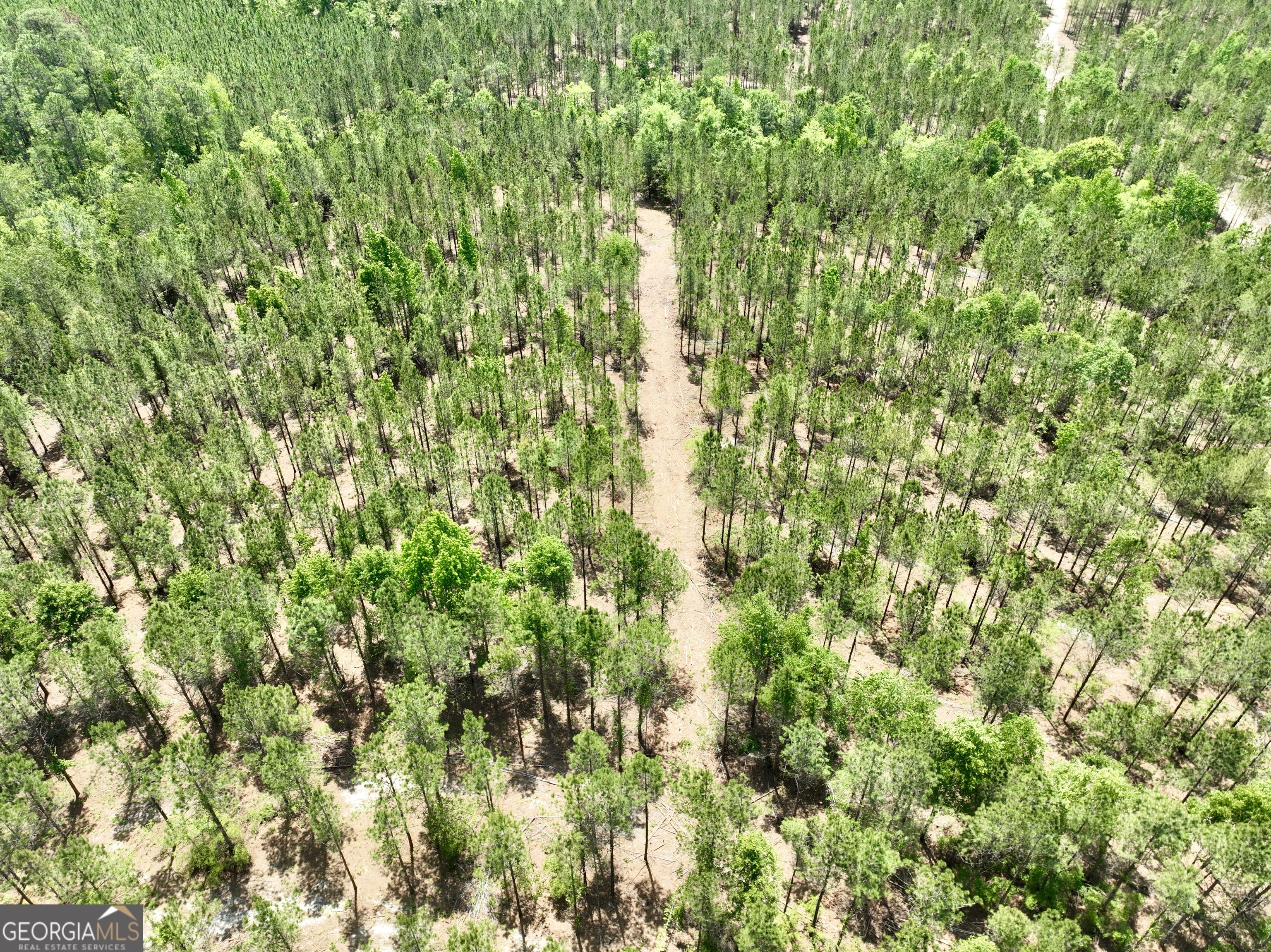 0 Jerry Farmer Road Eastman, GA 31023 - Photo 27 of 40