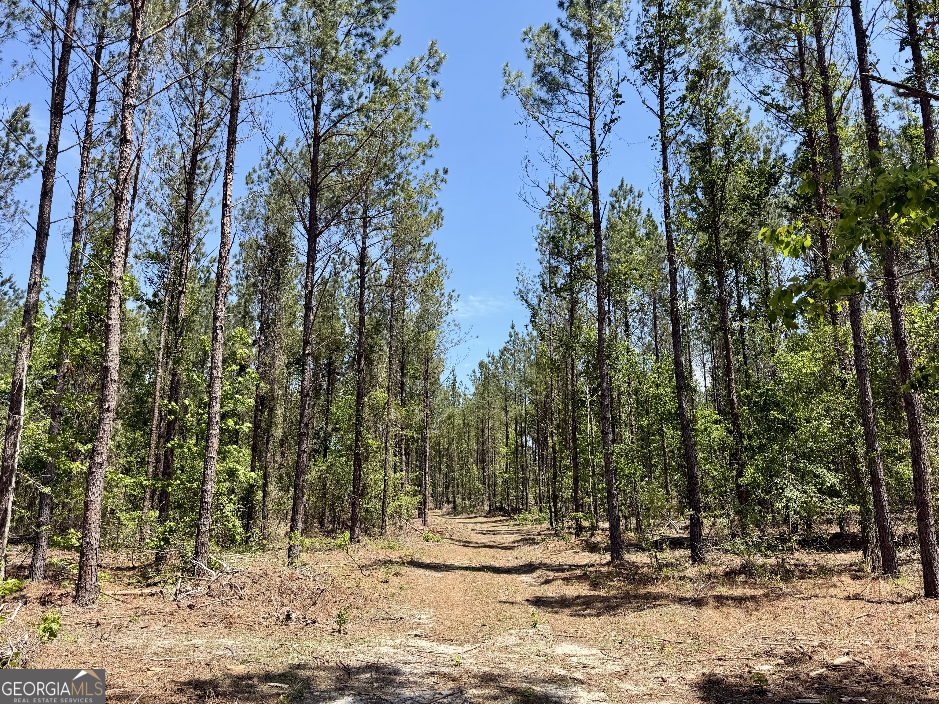 0 Jerry Farmer Road Eastman, GA 31023 - Photo 28 of 40