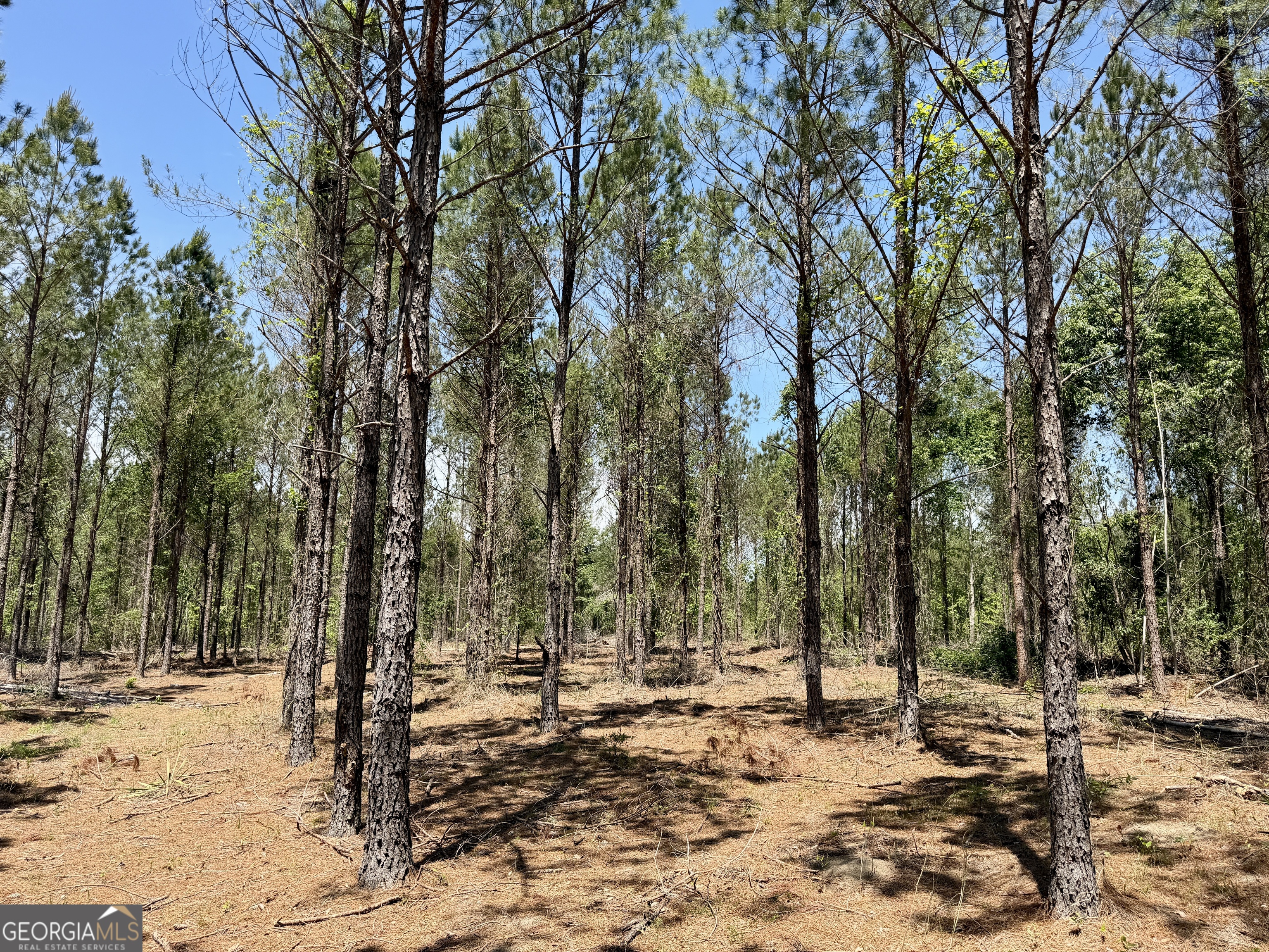 0 Jerry Farmer Road Eastman, GA 31023 - Photo 29 of 40