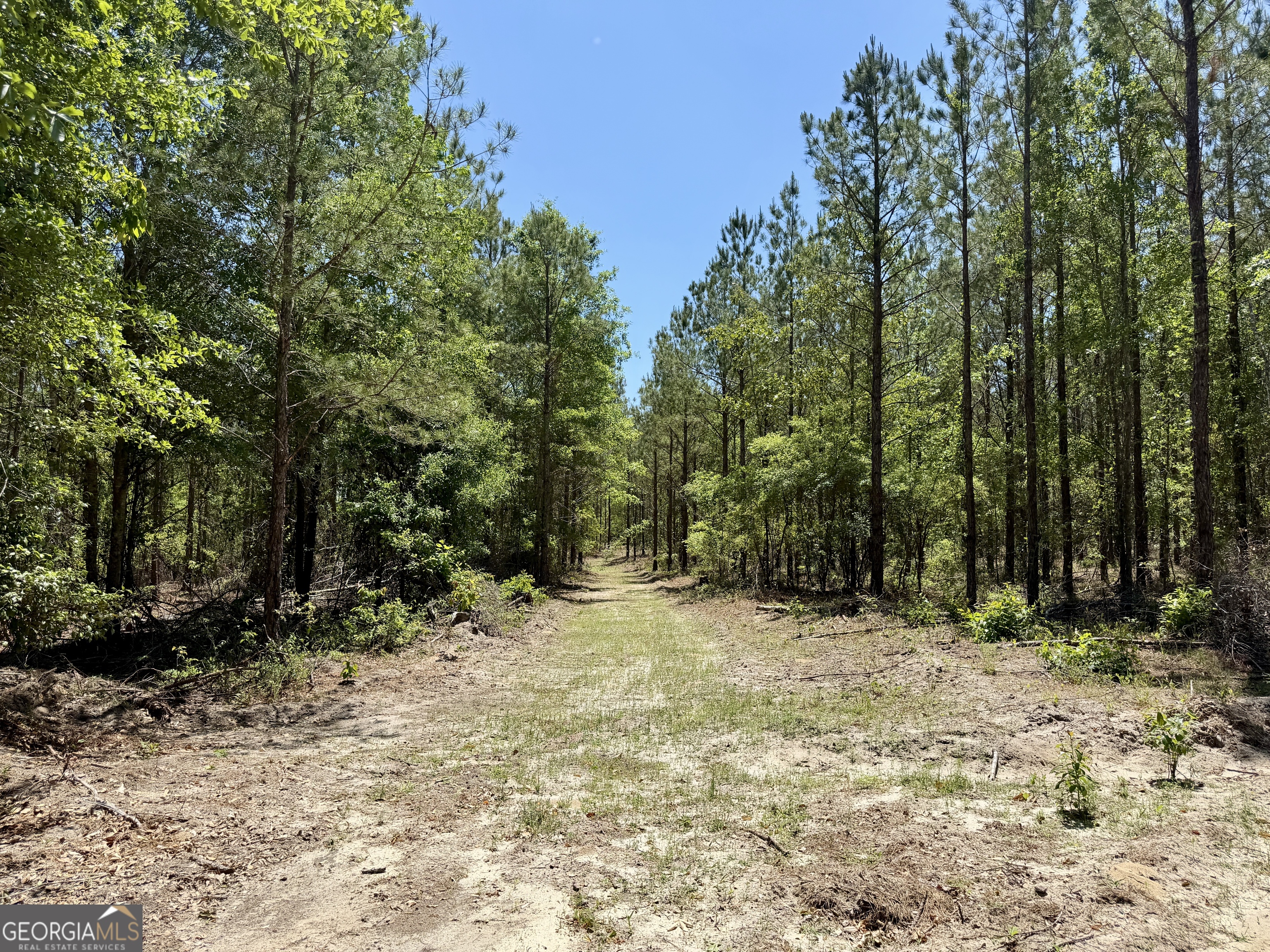 0 Jerry Farmer Road Eastman, GA 31023 - Photo 30 of 40