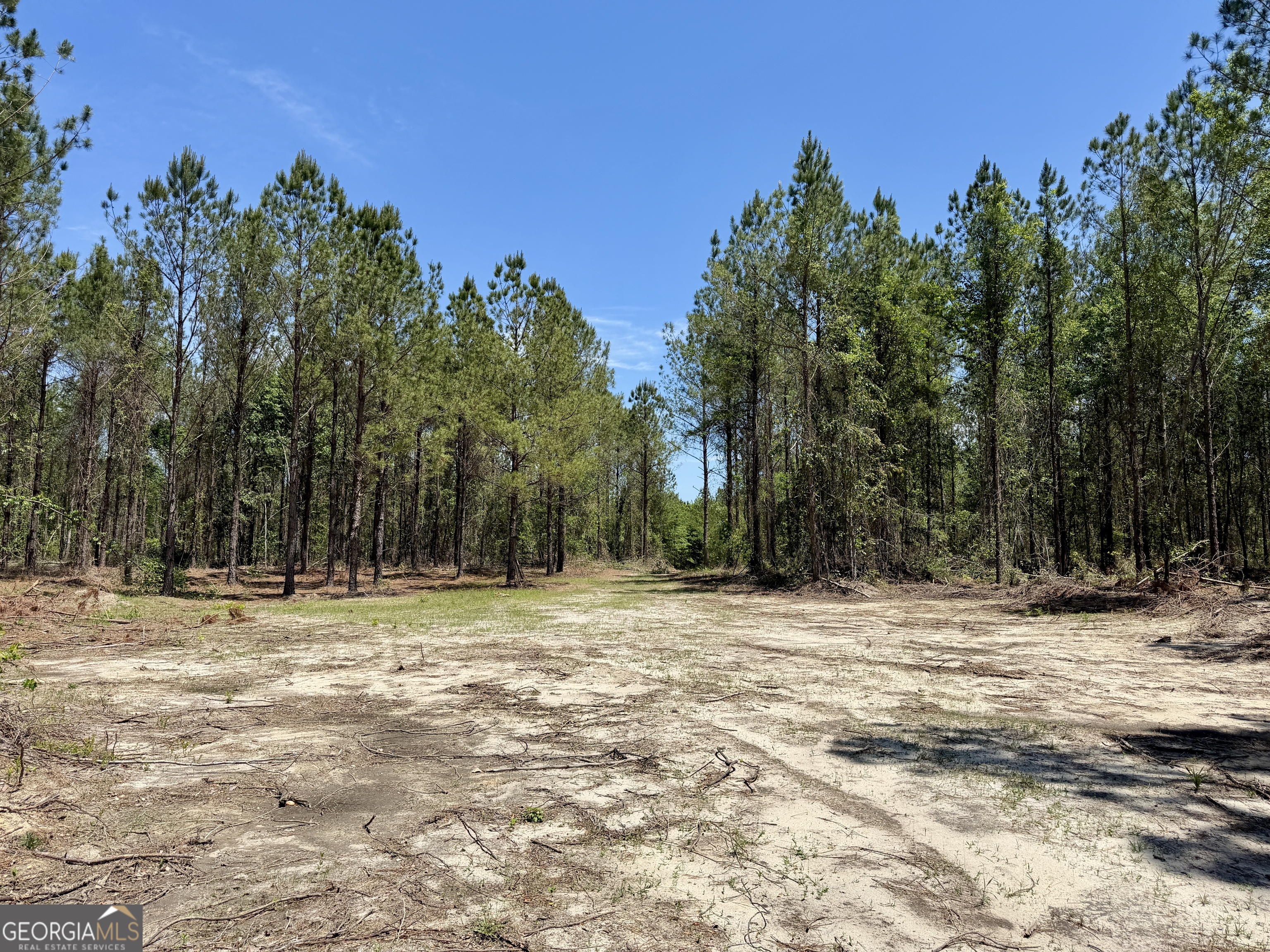 0 Jerry Farmer Road Eastman, GA 31023 - Photo 3 of 40