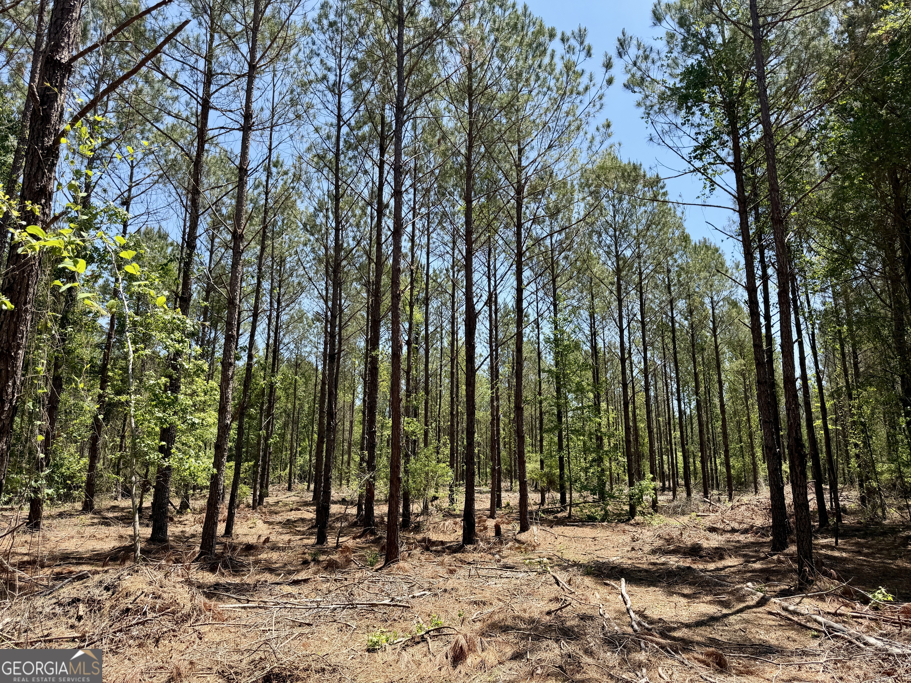 0 Jerry Farmer Road Eastman, GA 31023 - Photo 32 of 40
