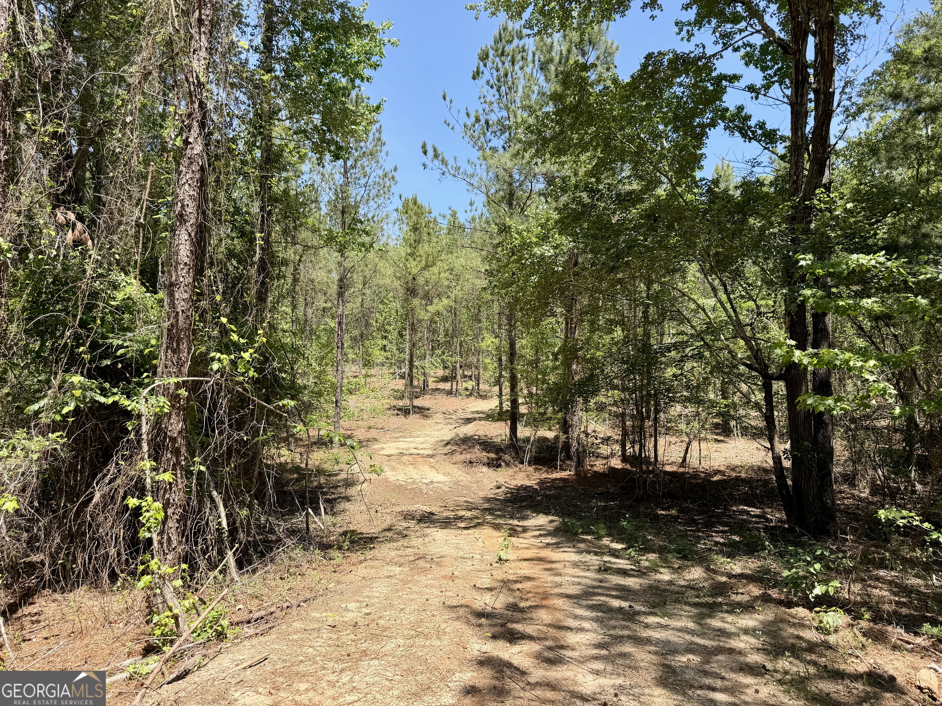 0 Jerry Farmer Road Eastman, GA 31023 - Photo 33 of 40