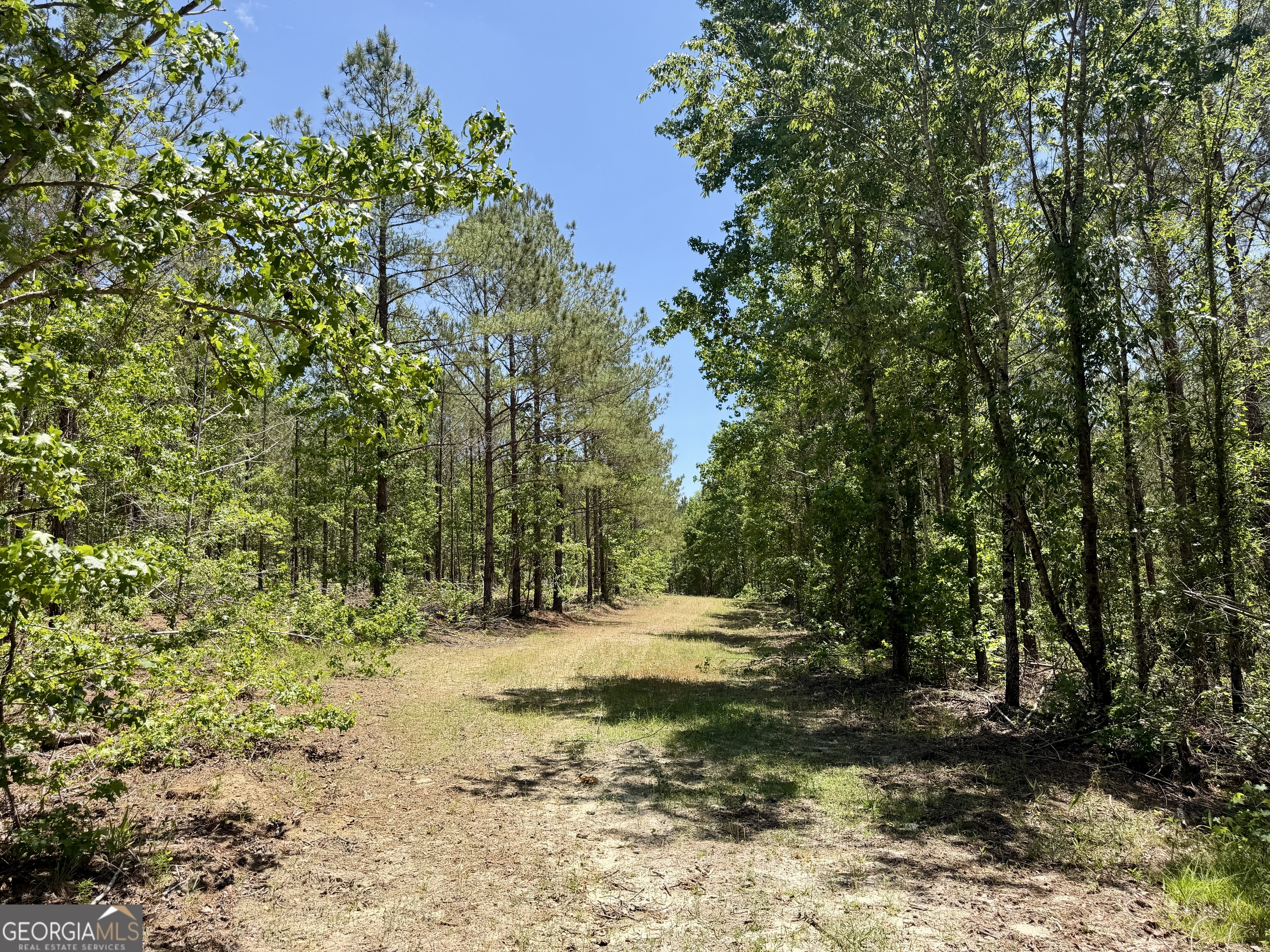 0 Jerry Farmer Road Eastman, GA 31023 - Photo 34 of 40