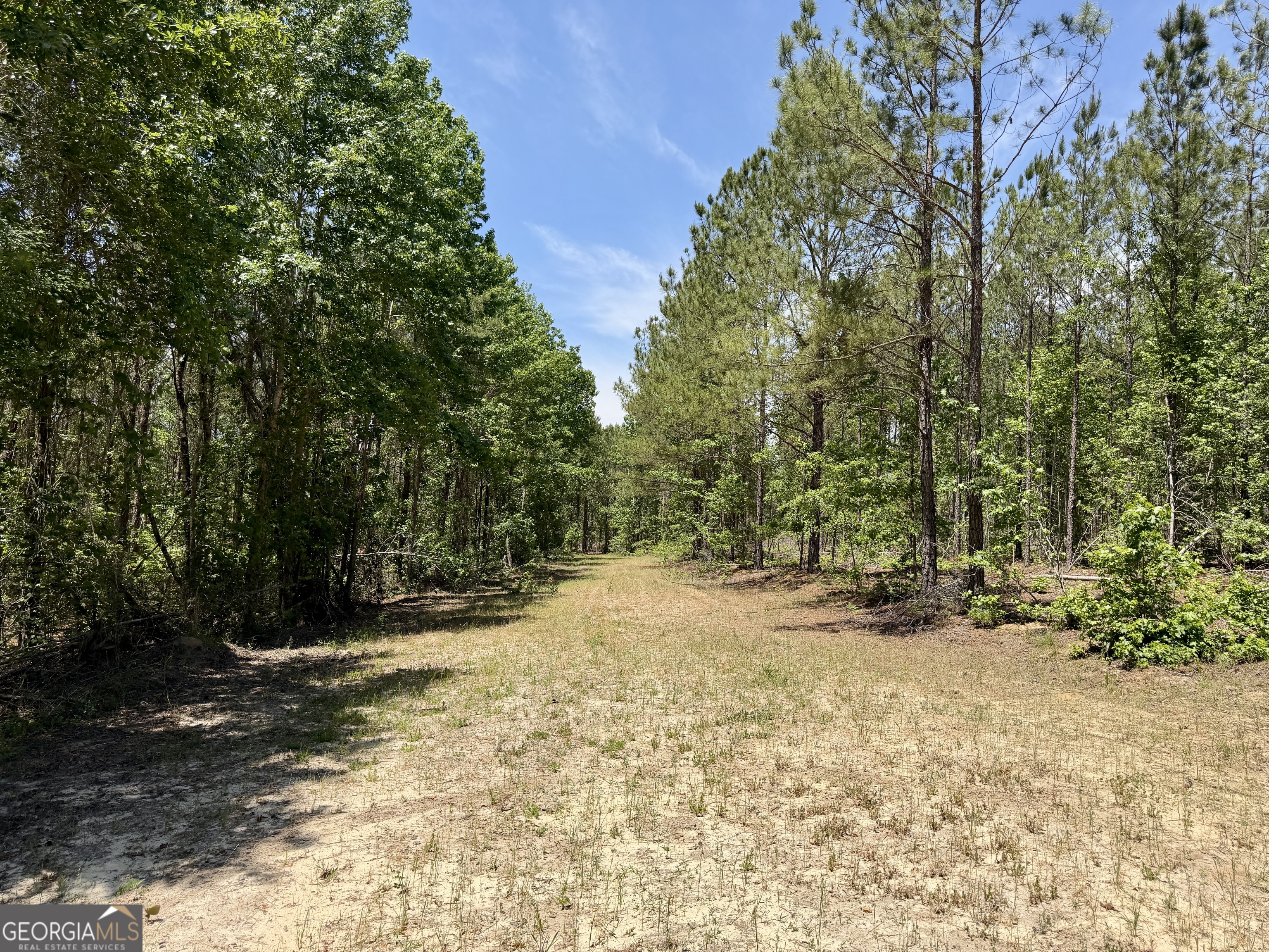 0 Jerry Farmer Road Eastman, GA 31023 - Photo 36 of 40