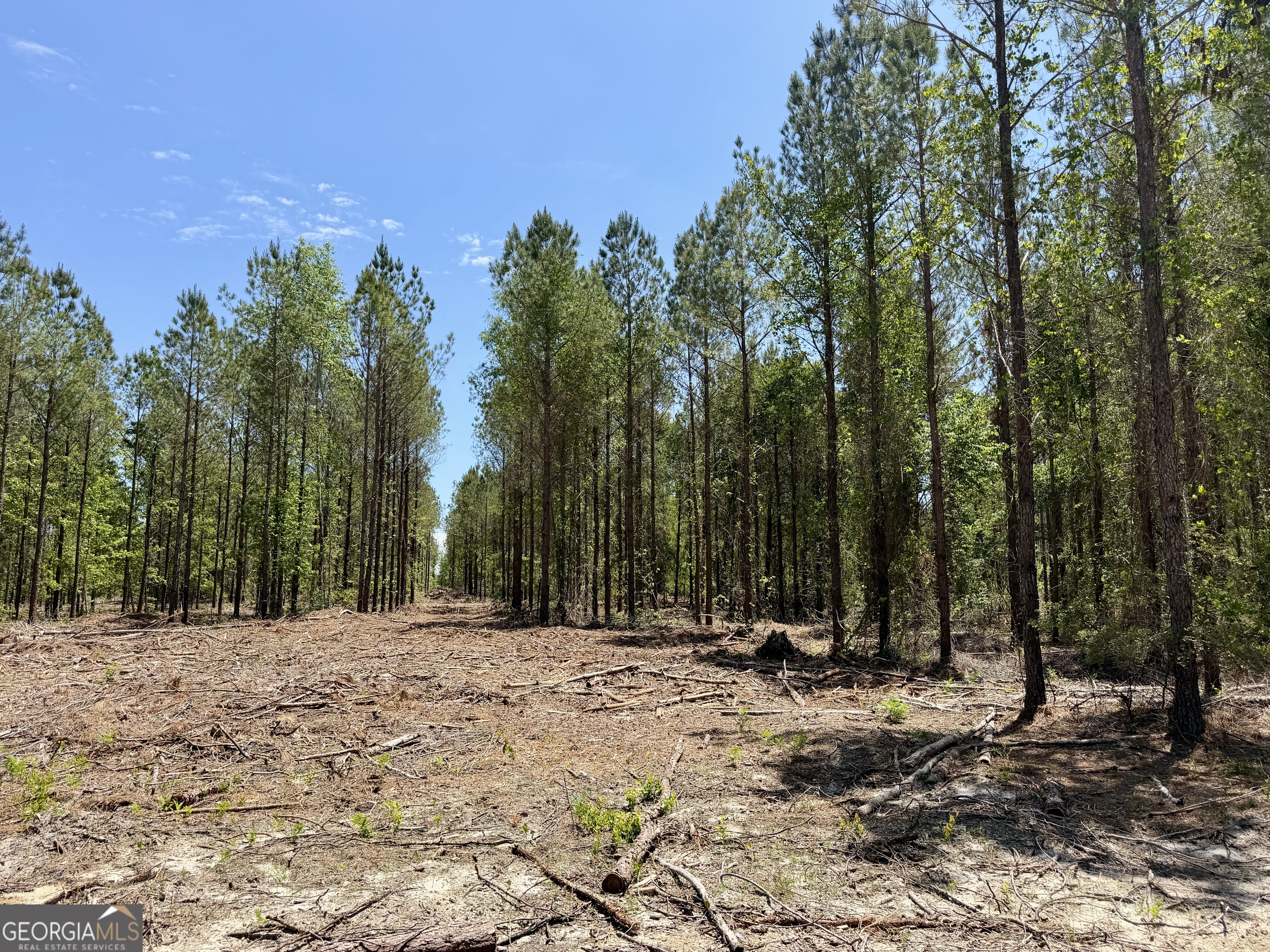 0 Jerry Farmer Road Eastman, GA 31023 - Photo 38 of 40