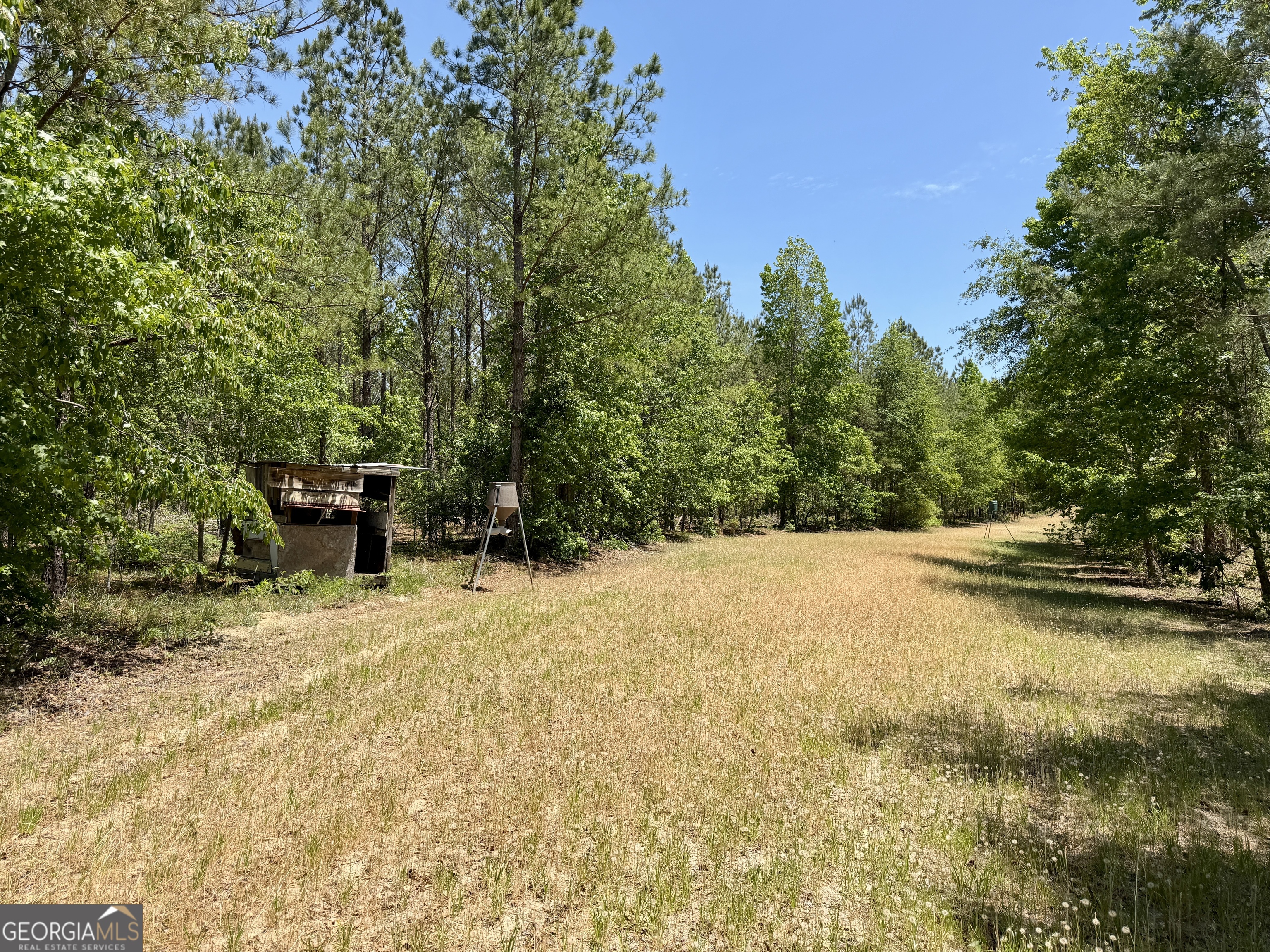 0 Jerry Farmer Road Eastman, GA 31023 - Photo 39 of 40