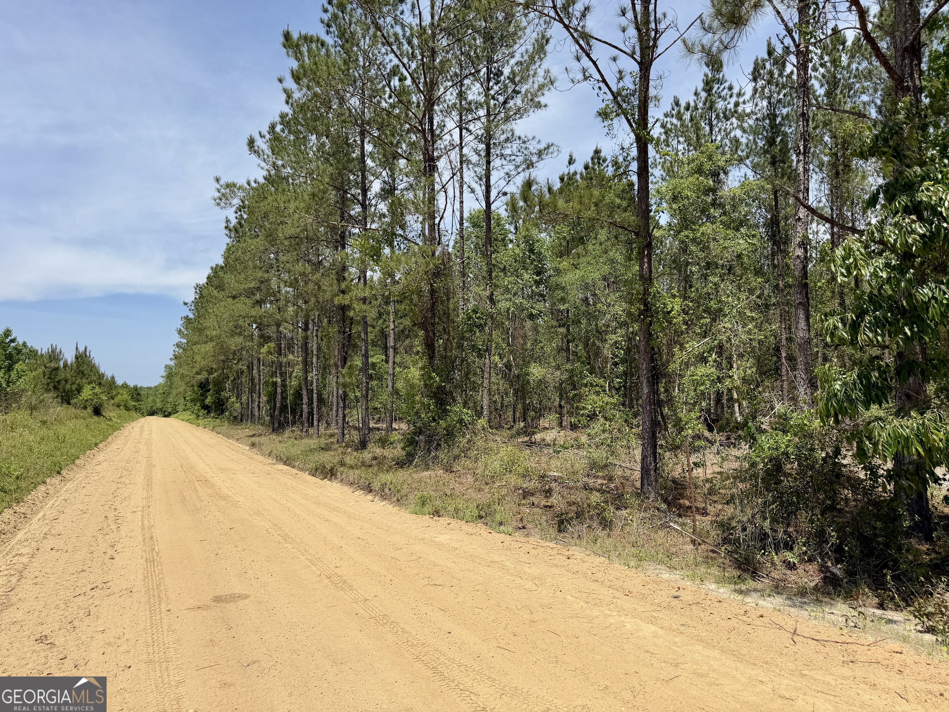 0 Jerry Farmer Road Eastman, GA 31023 - Photo 40 of 40