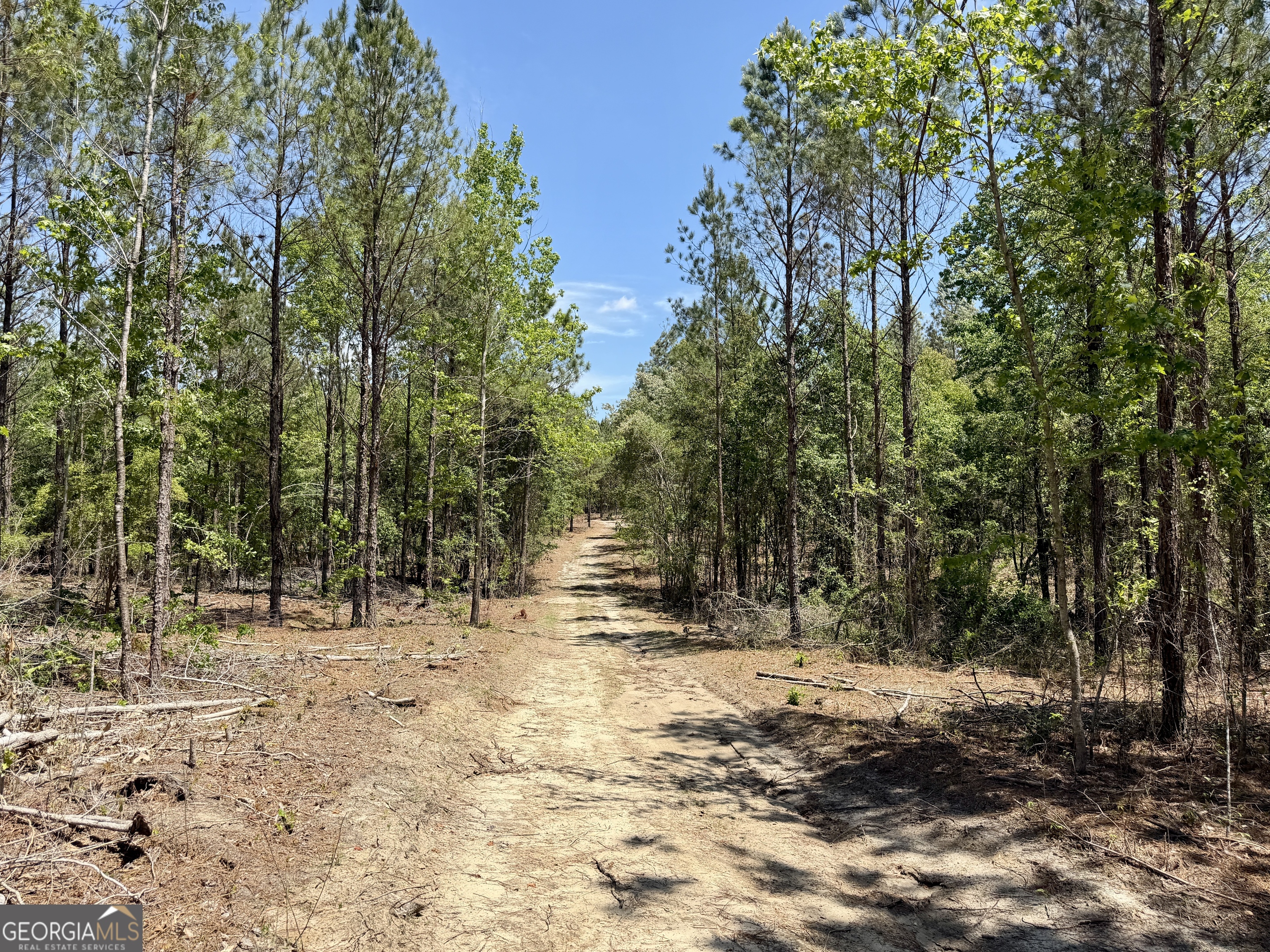 0 Jerry Farmer Road Eastman, GA 31023 - Photo 4 of 40