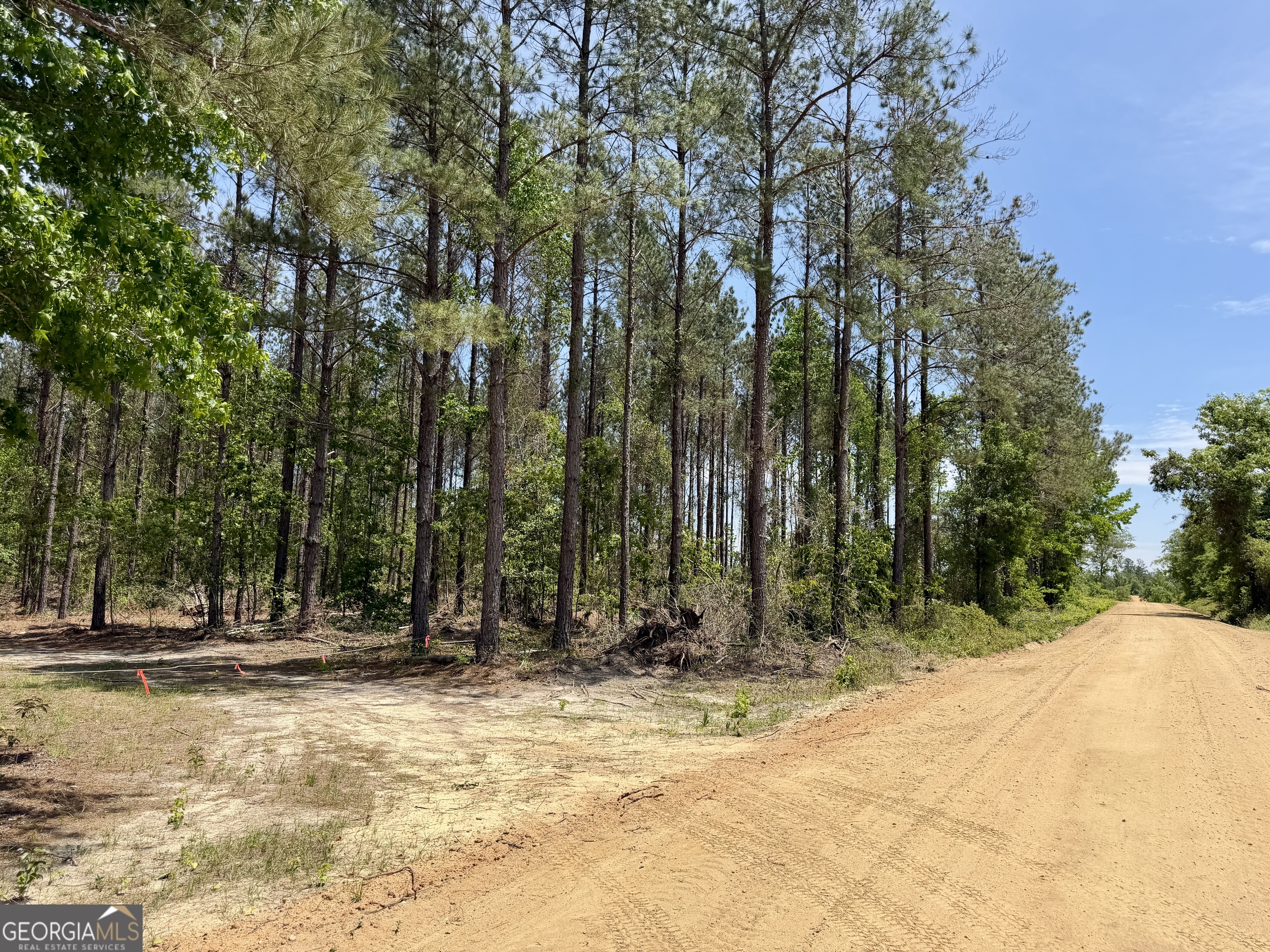 0 Jerry Farmer Road Eastman, GA 31023 - Photo 9 of 40