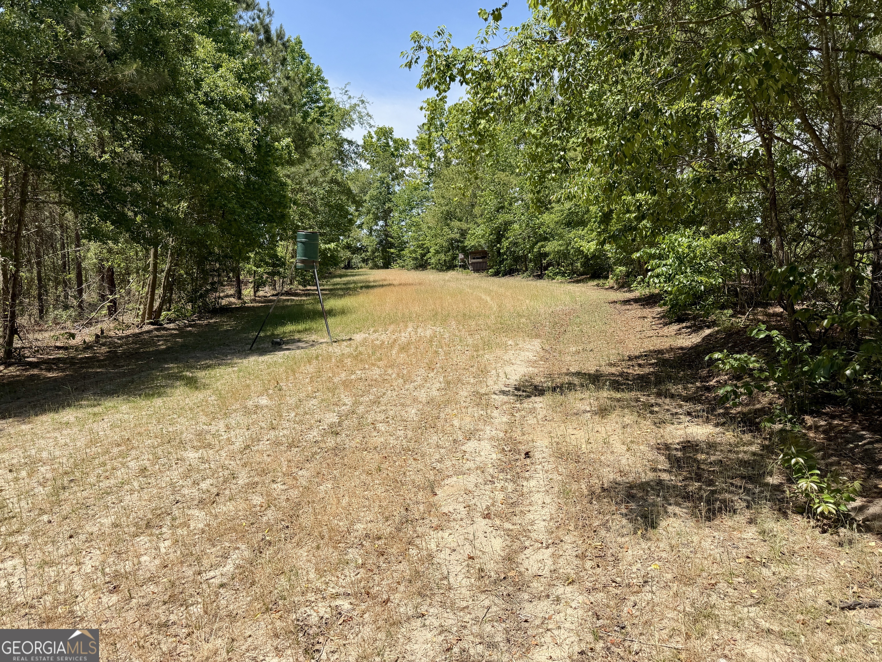 0 Jerry Farmer Road Eastman, GA 31023 - Photo 10 of 40