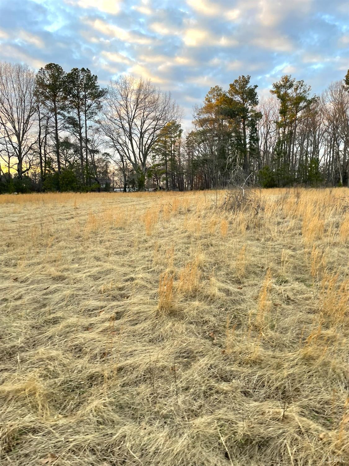 6 Gilliam Road Brookneal, VA 24528 - Photo 2 of 10