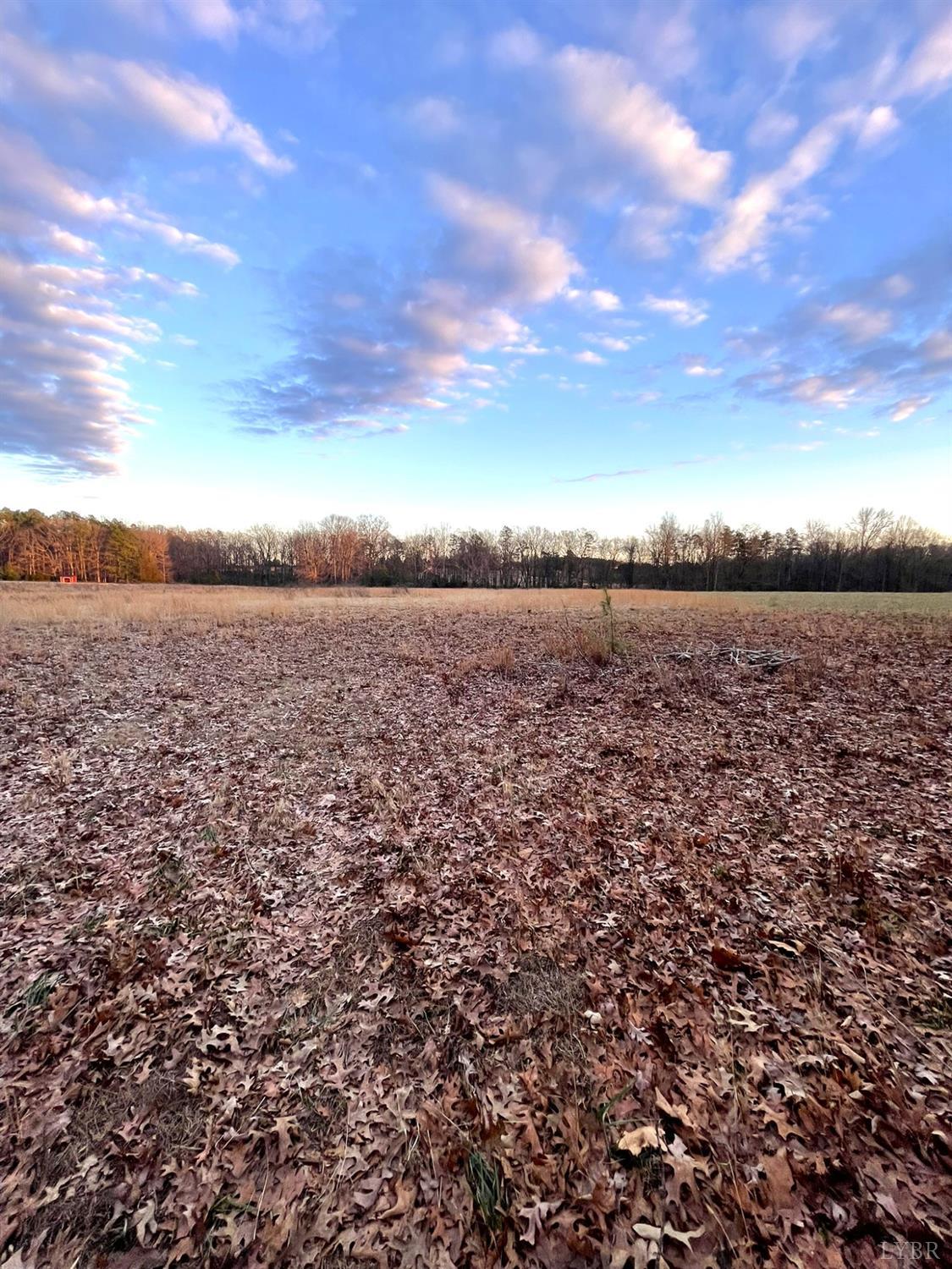 6 Gilliam Road Brookneal, VA 24528 - Photo 6 of 10