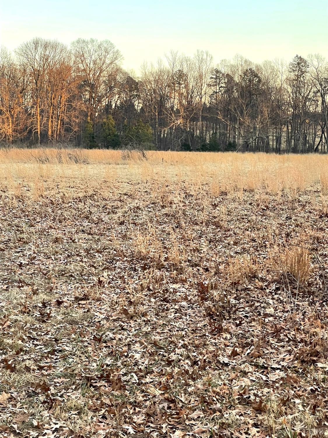 6 Gilliam Road Brookneal, VA 24528 - Photo 9 of 10