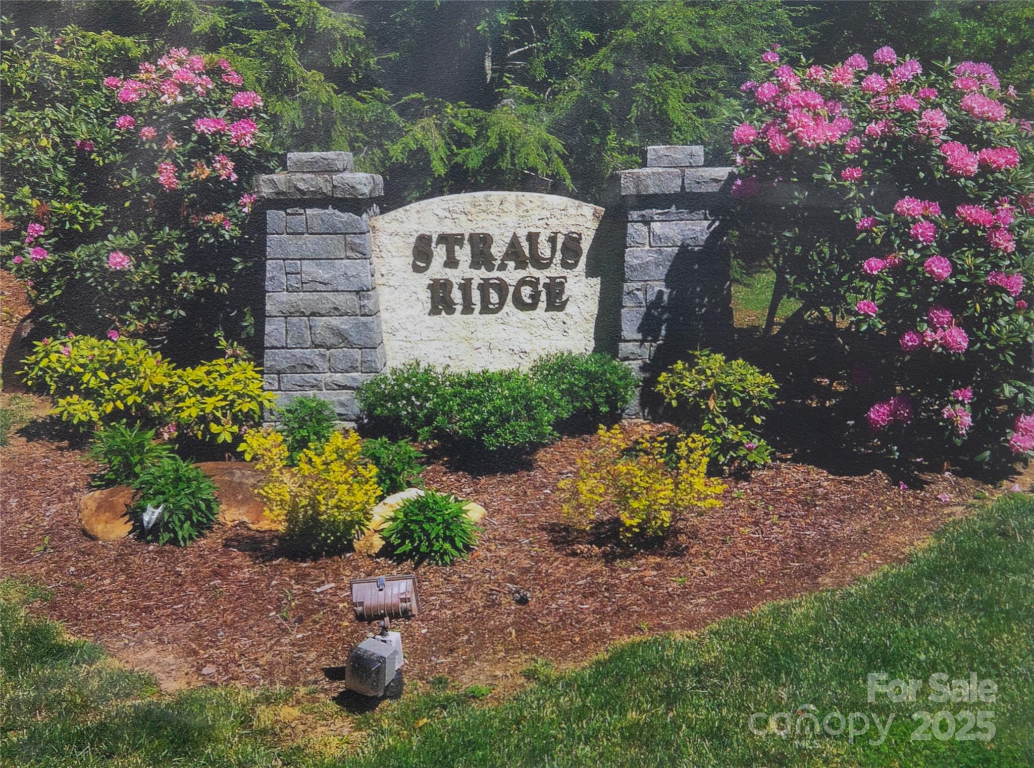 99 Ridgetop Circle Brevard, NC 28712 - Photo 1 of 32 Gallery Image 1
