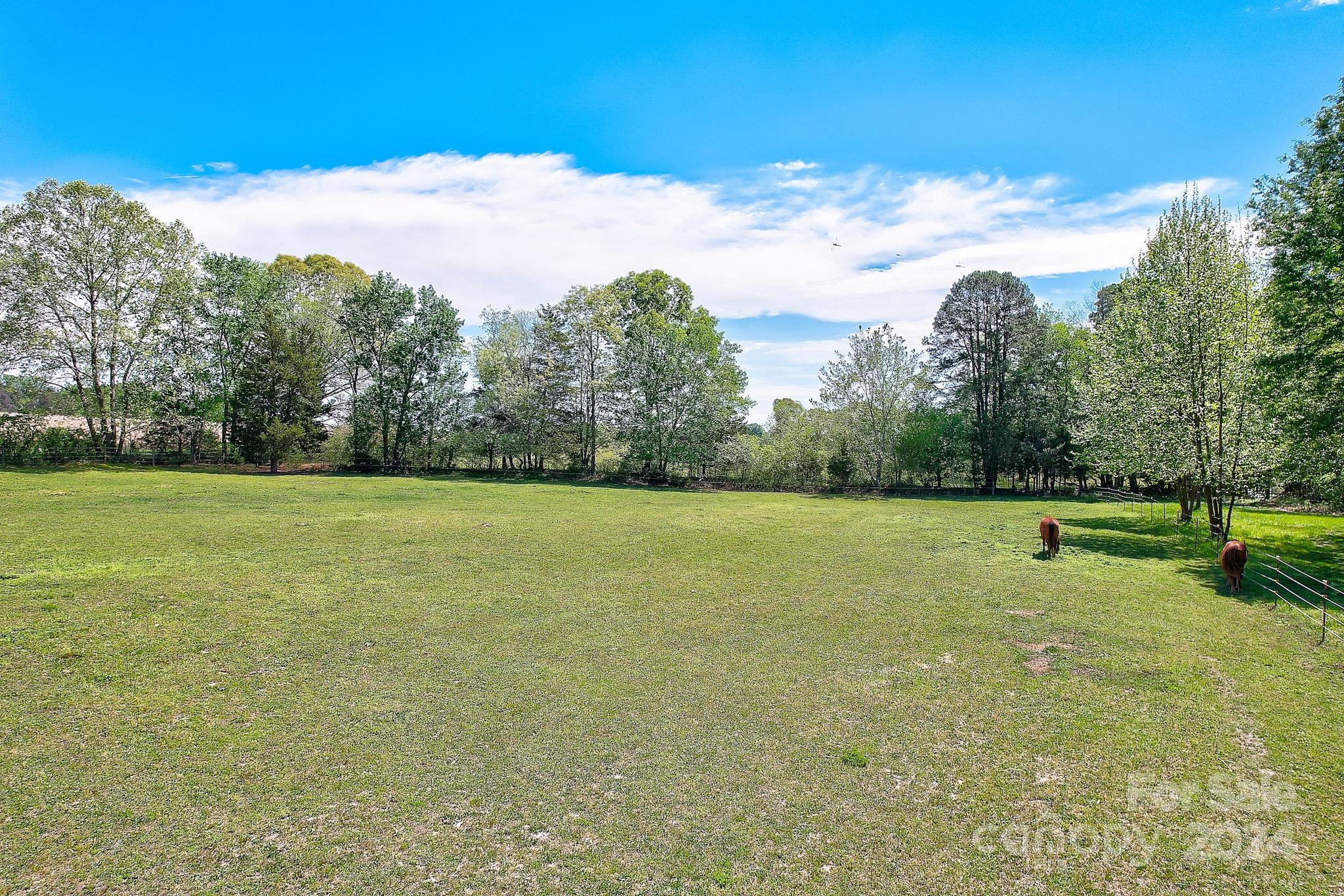 6093 Poors Ford Road Rutherfordton, NC 28139 - Photo 45 of 48 a view of a field with an trees