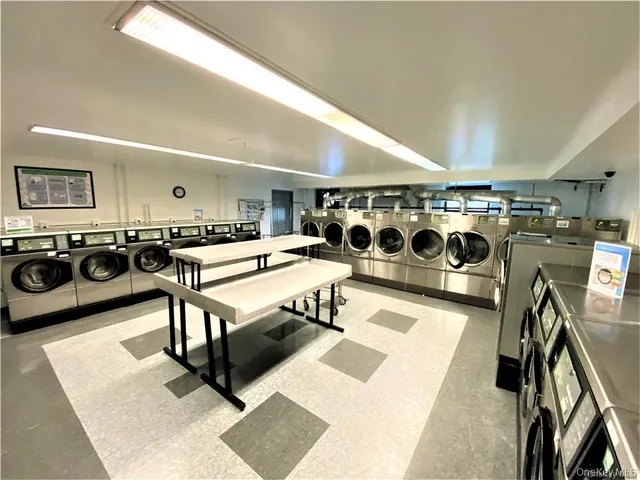 a backyard with tall trees