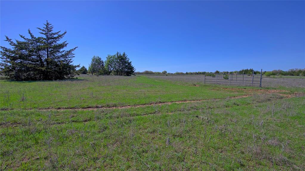 Tbd Well Service Road Bowie, TX 76230 - Photo 4 of 14 a view of a field with an trees