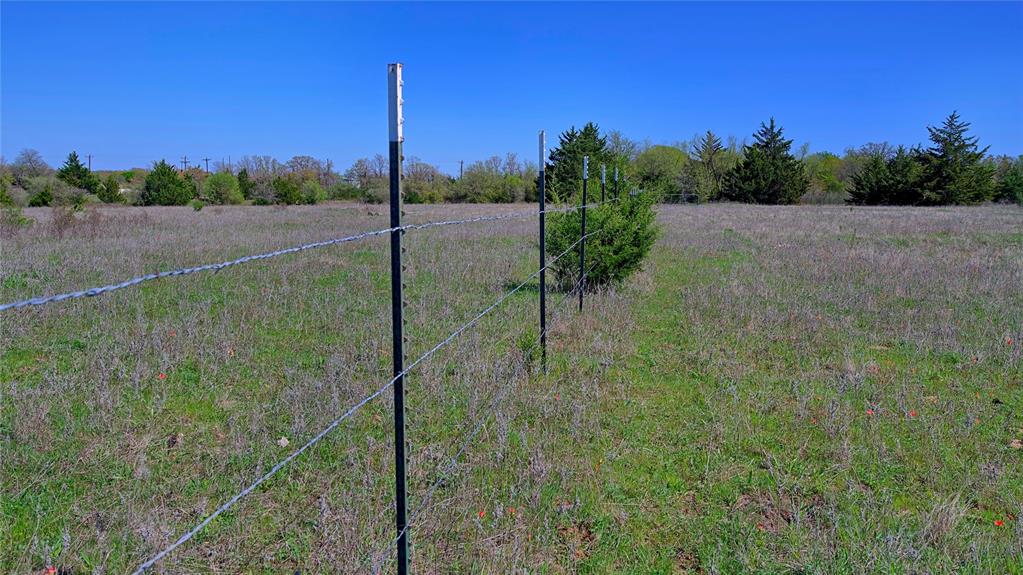 Tbd Well Service Road Bowie, TX 76230 - Photo 7 of 14 a view of a garden