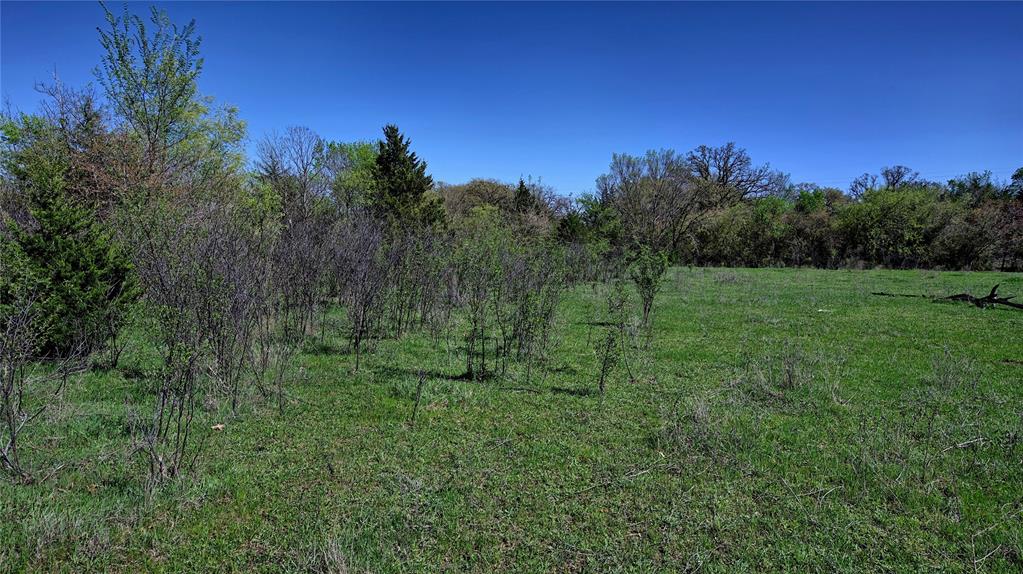 Tbd Well Service Road Bowie, TX 76230 - Photo 8 of 14 a view of a lush green space