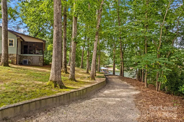 a view of a backyard with large trees