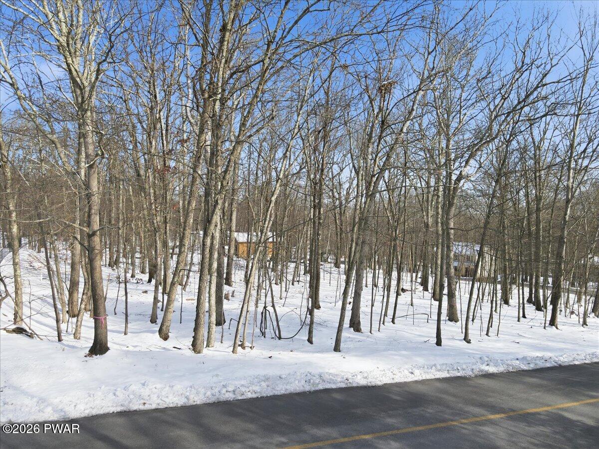Lot 181 Whippoorwill Drive Bushkill, PA 18324 - Photo 4 of 6