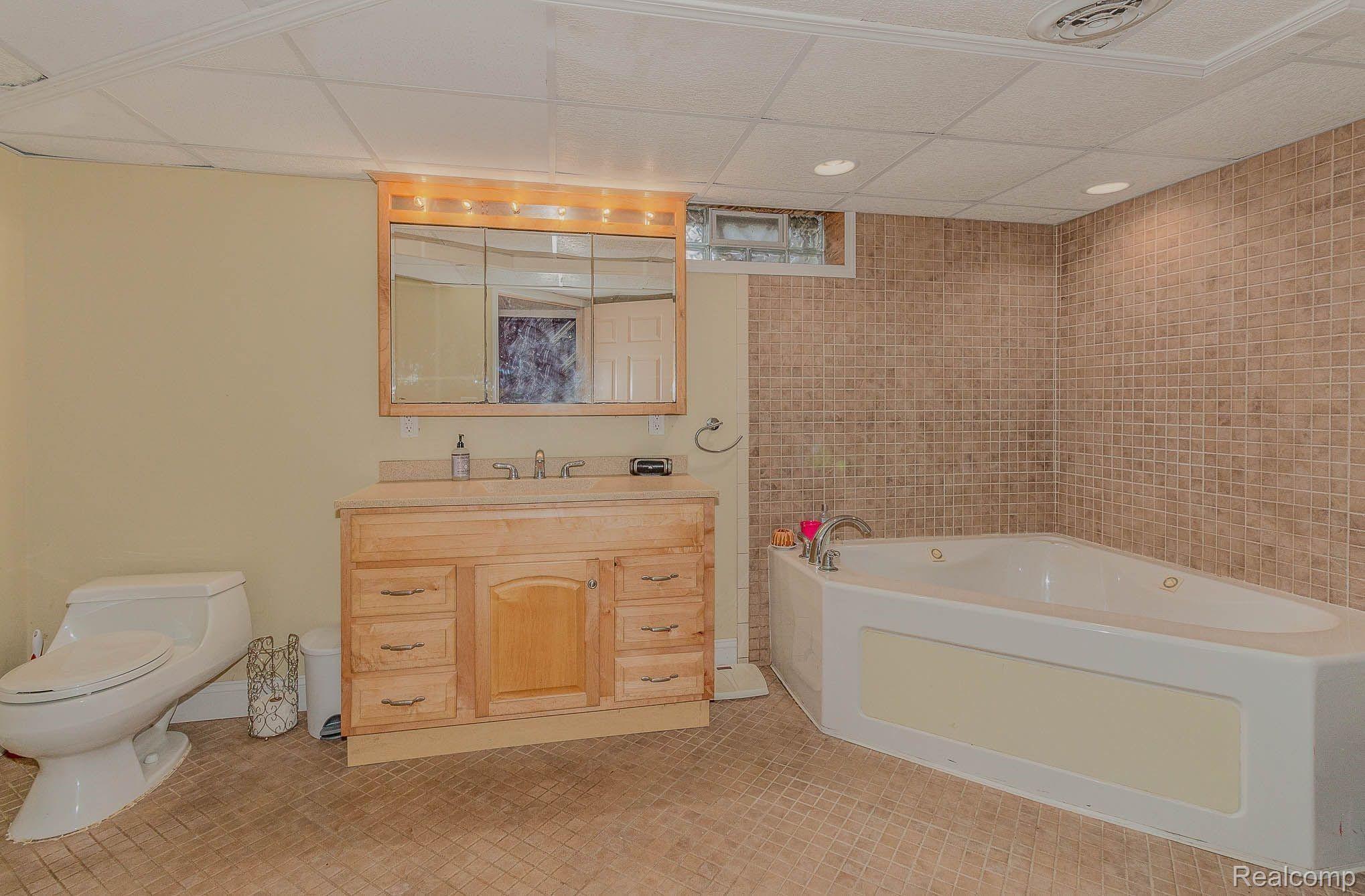 415 Power Street Fowlerville, MI 48836 - Photo 14 of 16 Lower level full bathroom