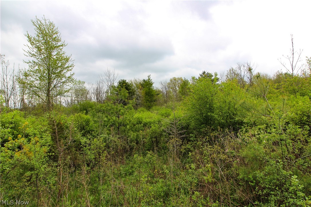 Earick Road Mansfield, OH 44903 - Photo 14 of 15 Gallery Image 14