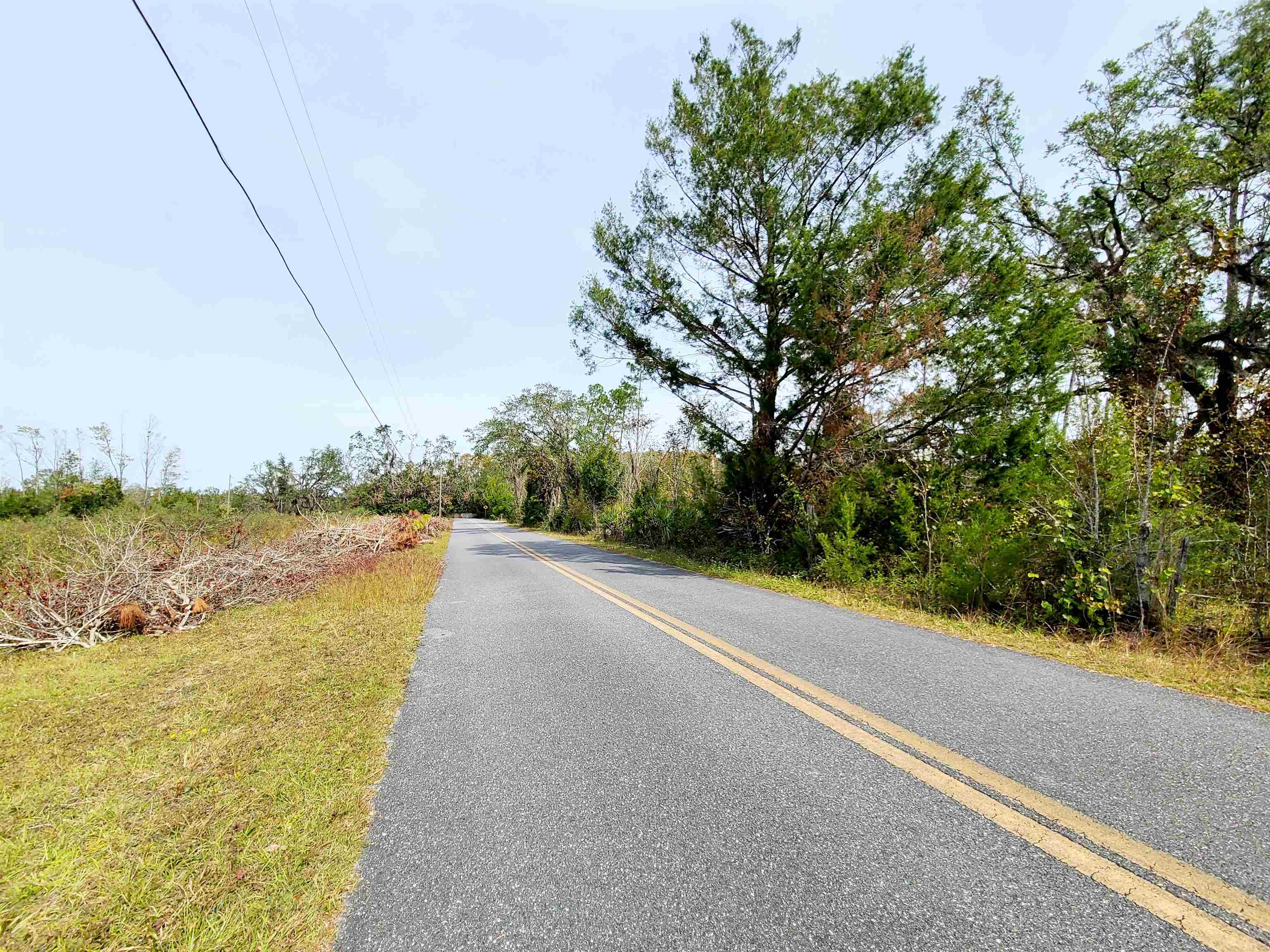 5651 Freeman Road Perry, FL 32348 - Photo 7 of 7