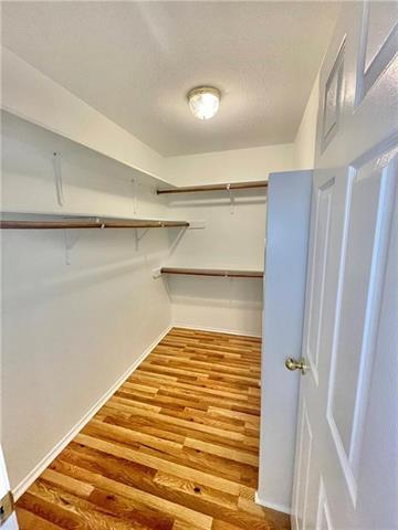 17312 Manish Drive Pflugerville, TX 78660 - Photo 13 of 19 a view of entryway