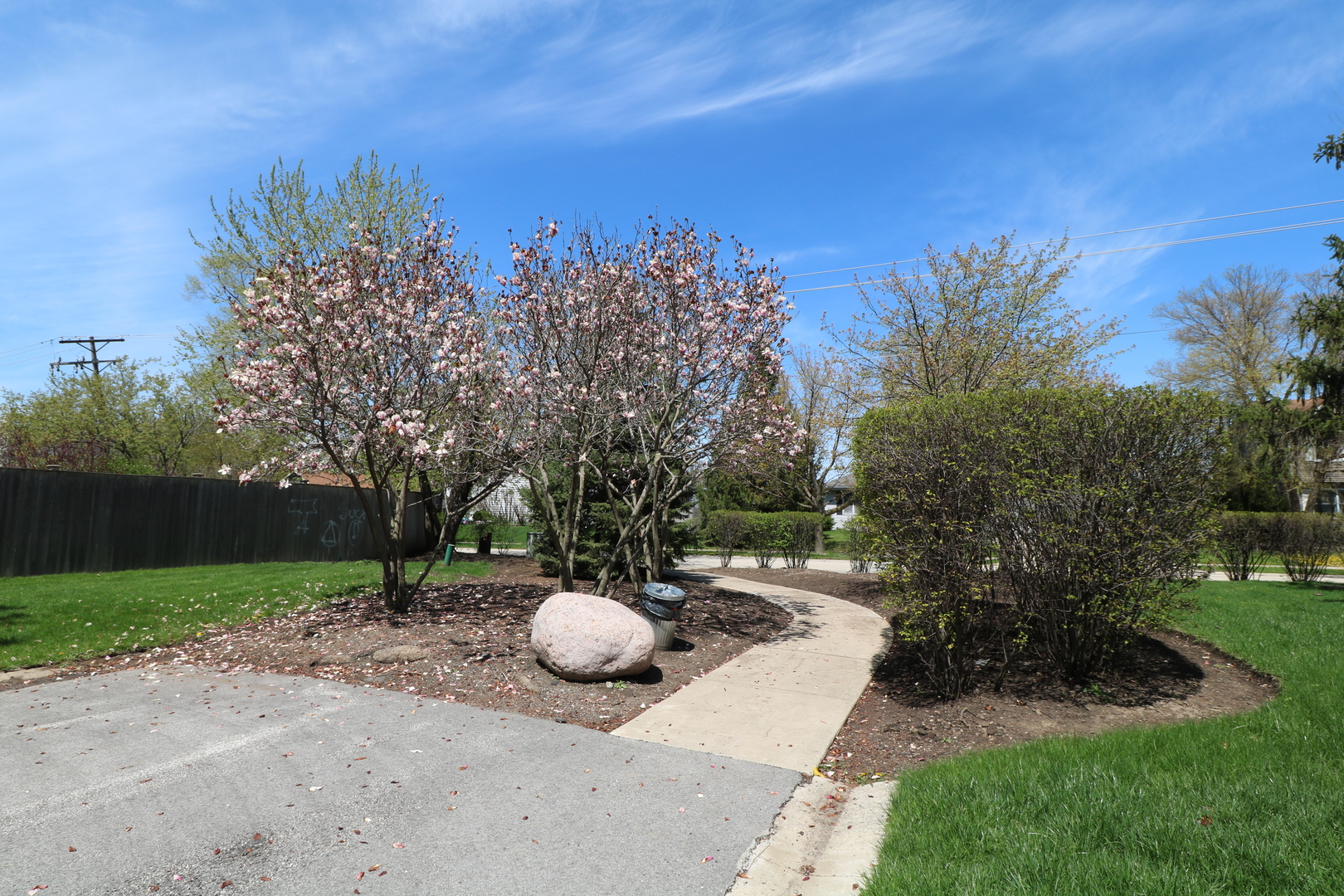 589 Redwood Road Bolingbrook, IL 60440 - Photo 2 of 18 a view of a outdoor space with a garden