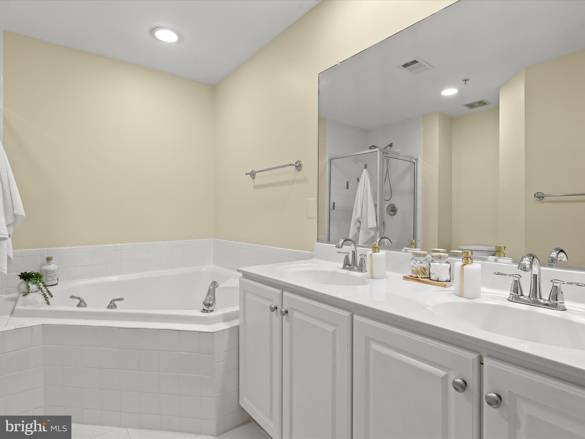 8515 Cameron Street Silver Spring, MD 20910 - Photo 15 of 43 Primary Bathroom